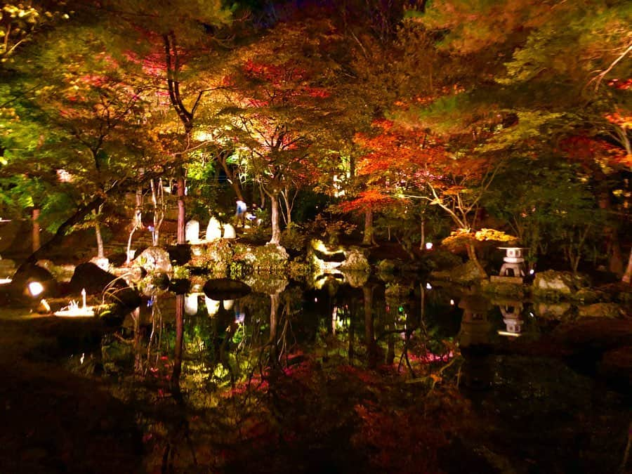 黒田麻理耶さんのインスタグラム写真 - (黒田麻理耶Instagram)「. 紅葉🍁ライトアップ✨in 宮城 . 父と母を連れて（父の運転だけど👨🚗） 2泊3日で#宮城旅行 に来ています✨ . #紅葉シーズン 真っ只中で どこを見渡しても景色が綺麗☺️🍁 そして空気が美味しい💙 . 宮城県初日は#秋保温泉 の 「秋保ナイトミュージアム」へ🙋‍♀️ ライトアップされたもみじが綺麗でした🍁✨ . #天守閣自然公園  #秋保ナイトミュージアム #秋保ナイトミュージアム2019 #天守閣自然公園もみじライトアップ #宮城  #家族旅行  #旅行  #秋保  #秋保温泉 #行くぜ東北  #紅葉  #ライトアップ #Miyagi  #Akiu  #trip」11月11日 12時25分 - mariya_kuroda