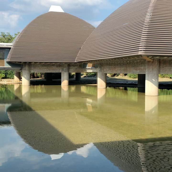 田中知之のグルメインスタ