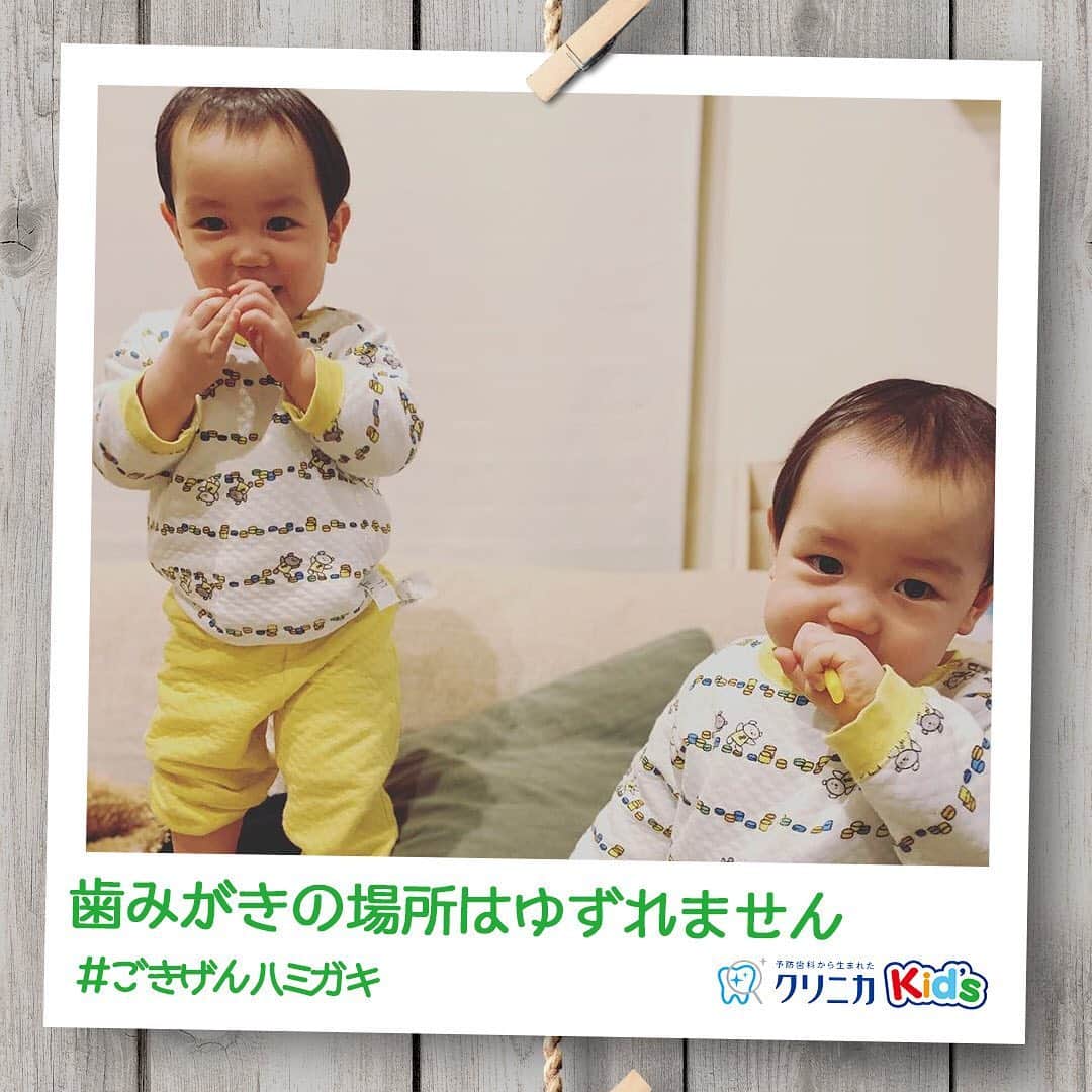 クリニカではじめよう予防歯科のインスタグラム：「今日の#ごきげんハミガキ♪﻿ ﻿ 皆さんこんにちは♪﻿ 今日は @tmk_futaba さんの#ごきげんハミガキ です！﻿ ﻿ 双子ちゃんで仲良く歯みがき💛﻿ ﻿ おすわりして歯みがきしてねーって言うと、ちゃんと座るかわいいふたり。﻿ 模様替えでソファを移動しても、 「必ずここ！」と決めたみたいに、もとあった場所の床に座るそうです👦🏻﻿ ﻿ 保育園に入園しても、お家みたいにしっかり歯みがきできるかな？﻿ ﻿ ----------------------﻿ #ごきげんハミガキ の投稿を募集中！﻿ クリニカKid’s公式アカウントでご紹介させていただきます♪﻿ ----------------------﻿ ﻿ #クリニカ #クリニカキッズ #歯磨き #歯みがき #はみがき #ハミガキ #歯みがきタイム #歯磨き中 #育児 #育児日記 #育児記録 #子育て #子育て記録 #こども #双子 #ツインズ #子供の成長 #成長記録 #成長 #ママライフ #親バカ部 #親バカ日記 #子供のいる暮らし #子育てのシェア #ママカメラ #リンクコーデ #双子コーデ」