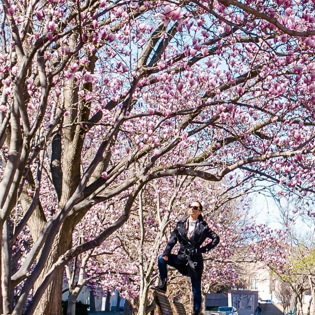 リサ・アンさんのインスタグラム写真 - (リサ・アンInstagram)「Remember Springtime? 🌸 Seeing the field in GB look like a snow globe today was the first real moment... like yeah, up next... #winter ❄️☃️」11月11日 13時07分 - thereallisaann