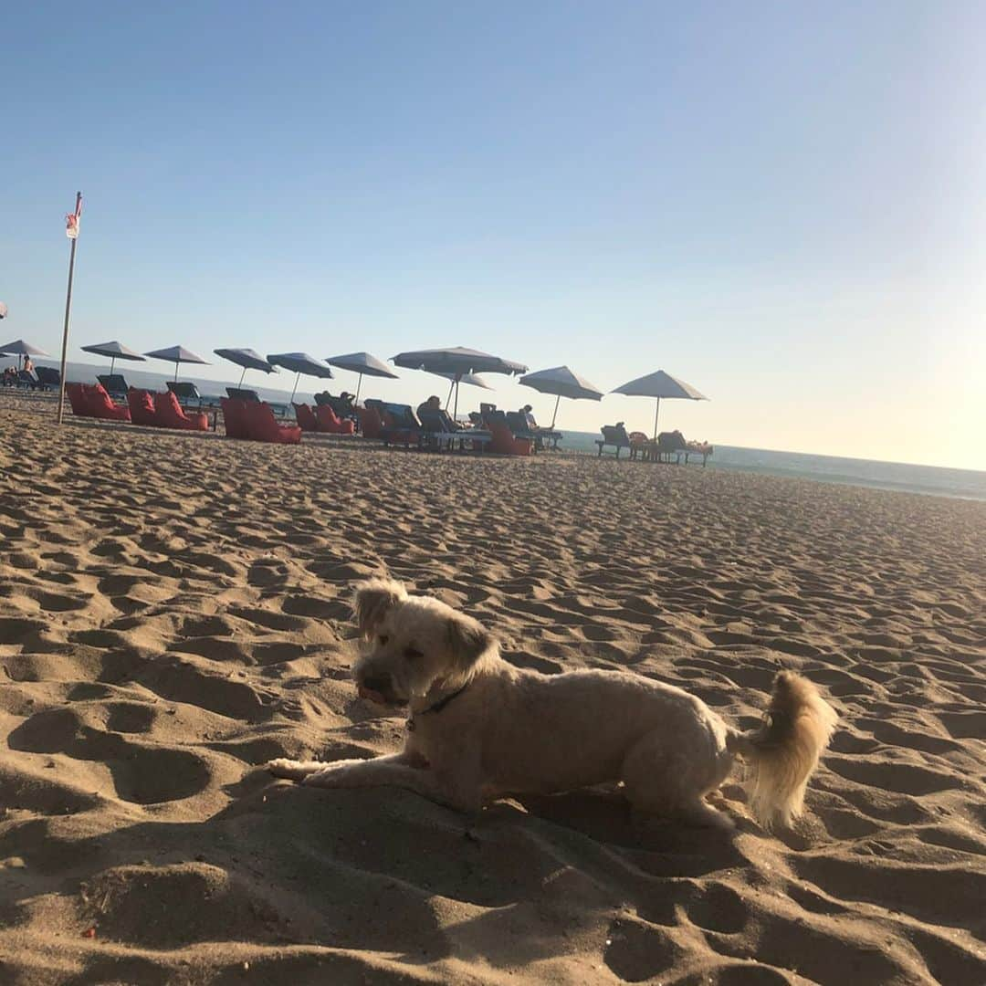 宇内梨沙さんのインスタグラム写真 - (宇内梨沙Instagram)「ヨガにスパ🧘‍♀️﻿ ﻿ まさに﻿ 女子の楽園・バリ島でした✨﻿ ﻿ スパ3回もしたよ！笑﻿ ﻿ ほぼすっぴんで﻿ ずっと過ごしてました🌸﻿ ﻿ 楽だったなぁ。﻿ ﻿ 水曜日からお仕事です✨」11月11日 15時02分 - risaunai