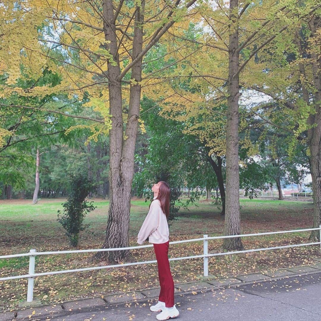 鈴木えりかのインスタグラム：「. 🍁🍁🍁 まだ全然青いけど、笑 . . . . #autumn #🍁」