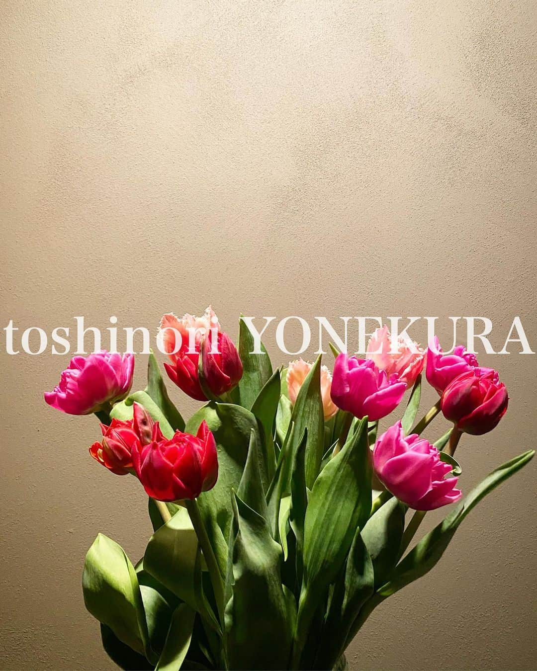 米倉利紀さんのインスタグラム写真 - (米倉利紀Instagram)「flowers of this week 🙏 HUGE THANK YOU」11月11日 15時41分 - toshi_yonekura