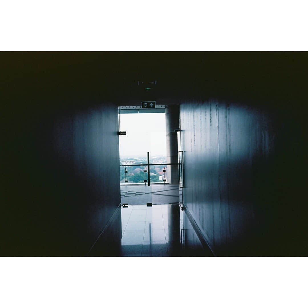 島田翼さんのインスタグラム写真 - (島田翼Instagram)「「押し付けたくはないけど受け取ってほしい」」11月11日 17時45分 - tsubasa_shimada