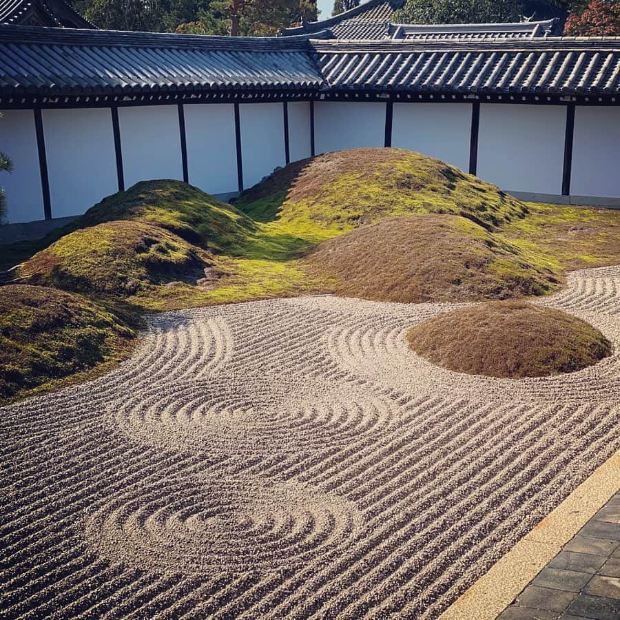 大手小町さんのインスタグラム写真 - (大手小町Instagram)「秋の京都。東福寺のお庭、素晴らしいですよね。苔が気になっていたので、訪れました。  #otekomachi #大手小町 #京都旅行 #東福寺 #そうだ京都行こう2019  #癒されてる場合じゃない」11月11日 18時00分 - otekomachi