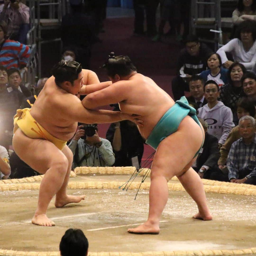 日本相撲協会さんのインスタグラム写真 - (日本相撲協会Instagram)「幕内の取組。﻿ 明生-遠藤。﻿ ﻿ 取組後、支度部屋に戻る明生。﻿ 九州場所では、関取を間近で応援できます。﻿ ・ 日本相撲協会のYouTubeでは、場所前の立浪部屋の稽古の様子や、関取インタビューをご覧いただけます！ ﻿ @sumokyokai ﻿ #sumo﻿  #相撲 ﻿ #力士﻿ #お相撲さん﻿ #大相撲 ﻿ #11月場所 ﻿ #九州場所 ﻿ #福岡県 ﻿ #福岡 ﻿ #博多 ﻿ #九州　﻿ #博多旅行﻿ #九州旅行﻿ #博多観光﻿ #福岡国際センター﻿ ﻿ #遠藤﻿ #明生﻿ ﻿ #日本 ﻿ #japan ﻿ #sumo﻿ #sumowrestling﻿ #sumowrestler﻿ #sumowrestlers﻿ #samuraiwarrior﻿ #samuraiwarriors﻿ #japanculture」11月11日 18時09分 - sumokyokai