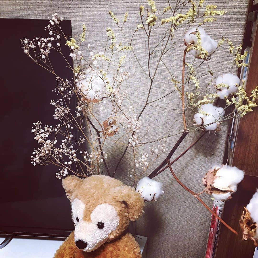 殿倉恵未さんのインスタグラム写真 - (殿倉恵未Instagram)「東京から帰ってバタバタでも、こういう自分の好きな時間を取り入れると凄く幸せな気持ちになります💐 今しか楽しめないケイトウに、これからアレンジが沢山きくコットンフラワー💠はぁ💗美しいです。 ． #秋#ケイトウ#花のある暮らし#flower#花#flowers#コットンフラワー#冬#上品#インテリア#インテリアコーディネート#インテリアデザイン#インテリアディスプレイ#ディスプレイ花」11月11日 18時26分 - megumi_tonokura722