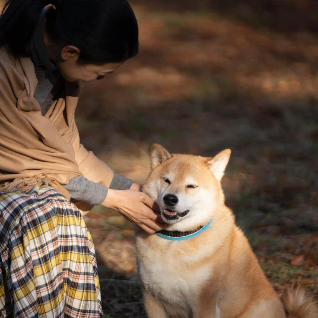 まる（まるたろう）さんのインスタグラム写真 - (まる（まるたろう）Instagram)「It’s been getting cold lately.✨🐶👩🏻✨だんだん寒くなってきたよね〜 #ママに貸してもらったの😊 #ぬくぬくだにゃ〜 #まる印のぬくぬくショール」11月11日 18時39分 - marutaro