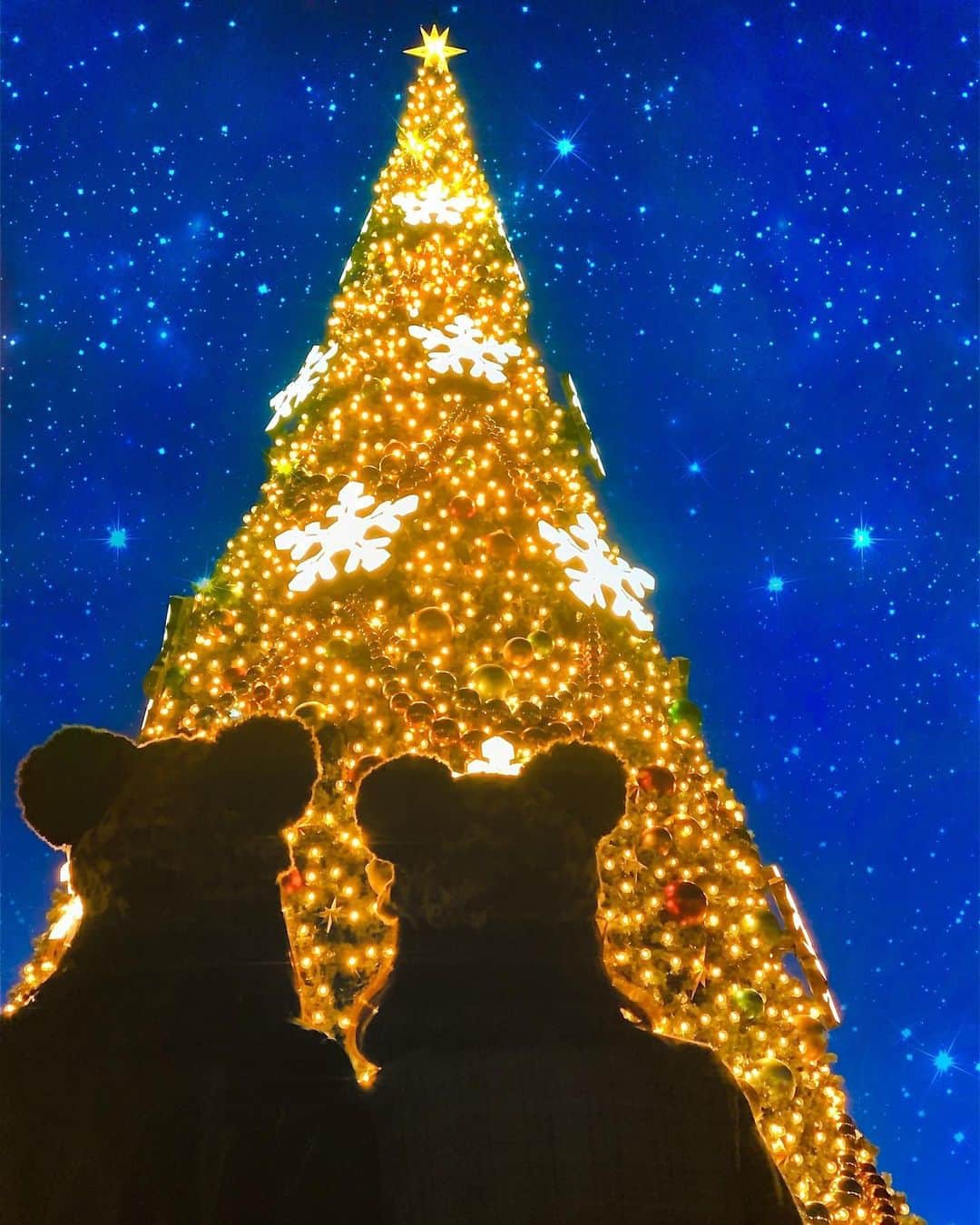 のインスタグラム：「ㅤ ㅤ シーのクリスマスツリーは 夜ライトアップされた時が すーんごい好き🎄❤️ ㅤㅤㅤㅤ  ssコロンビア号とか 周りの建物とかの電飾と合わさって 雰囲気素敵ですごい幻想的🌜💫 ㅤ ㅤ ㅤ ㅤㅤㅤㅤ ㅤ そして2枚目はお昼食べた時の🥪🍴 ㅤㅤ ㅤㅤ 左手に持ってるのはニューヨークデリで売ってる カマンベールチーズとハニーマスタードチキンのサンド 右手に持ってるのはドックサイドダイナーで売ってる ローストビーフとシュリンプのサンド ㅤ どっちもクリスマス限定フード🎅🏻🎄🍗❤️ ㅤ ふみかと半分個ずつ シェアして食べたよ〜〜👯‍♀️❤️ どっちもすごいおいしかった！ ( カマンベールの方は雪崩が起きて 食べるのに苦戦した笑 ) また食べたいな〜〜🤤💭💘🍔 ㅤ ㅤ ご満悦な顔でサンドを雑な見せ方してるのは ご愛嬌っっっ😝✌🏻 ㅤ ㅤ ㅤ ㅤ ㅤ ㅤ ㅤ ㅤ ㅤㅤ #kana_disney #kana_starrysky ㅤ ㅤㅤㅤㅤ #東京ディズニーシー #ディズニーシー #東京ディズニーリゾート #アメリカンウォーターフロント #ポンポンキャップ #ディズニークリスマス #クリスマス #クリスマスツリー #ディズニーコーデ #シルエット #ディズニーフード #クリスマスフード #ニューヨークデリ #ドックサイドダイナー #tokyodisneysea #tds #tokyodisneyresort #tdr #disneychristmas #christmastree #iphonexs」