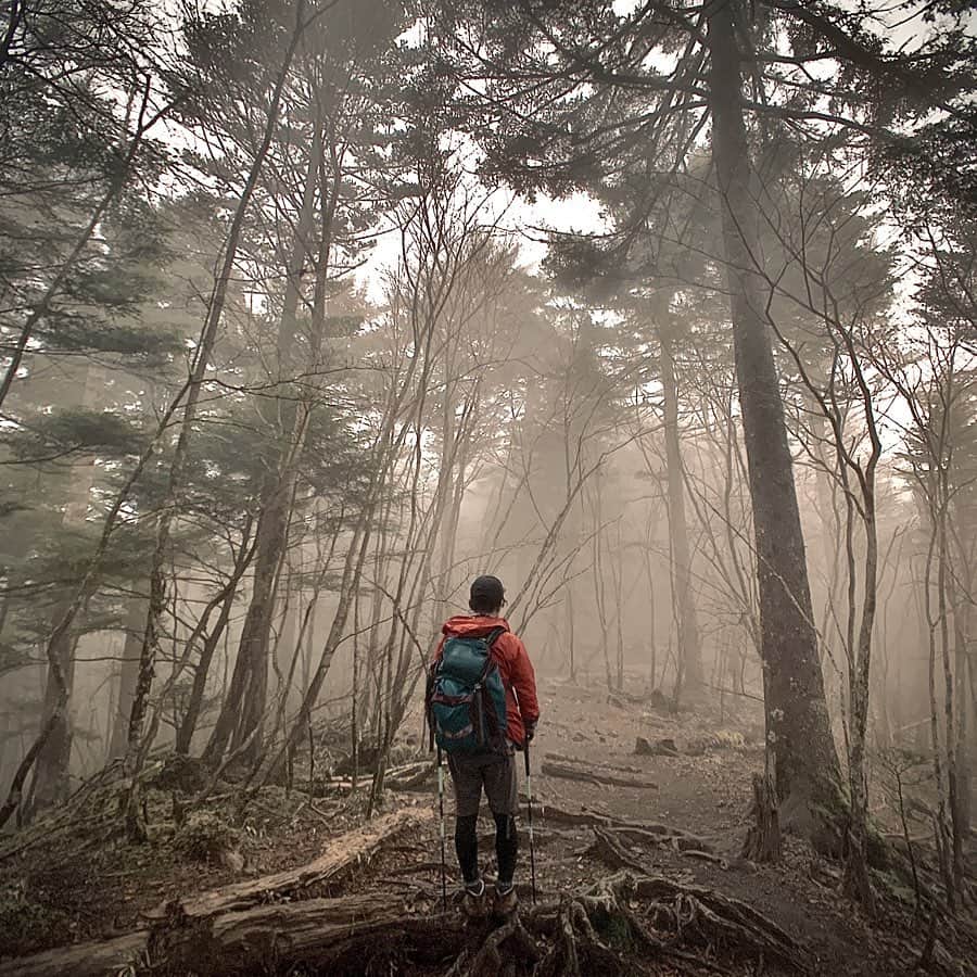のインスタグラム：「ジェヴォーダンの獣にでも出くわしそうな霧の森🌲 ここは #大菩薩嶺 の頂上付近2000mの山林です⛰  今日は、上日川峠→大菩薩峠→賽ノ河原→大菩薩嶺のトレッキングにいってきました。  往復3時間半くらいのライトなものと思いきや、 大菩薩峠を越えたあたりから黒ーい雲につつまれて、頂上についた頃にはゴロゴロ雷にどしゃぶり雨でした。  それでも一瞬、大菩薩峠から見下ろせた景色は美しかったなぁ！  山小屋で登頂バッチ買って、ふもとで温泉入って、 #百名山 ひとついただきました🙏🏻 ごちそうやま⛰  #山 #トレッキング #mountain #trekking #旅 #山梨 #日帰り登山 #登山 #やまのぼり #ダイスケ #日帰り旅行 #日本百名山 #これはこれで幻想的かな」