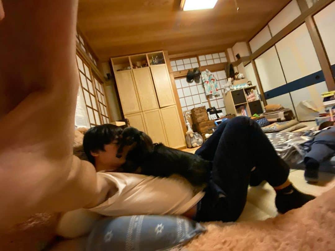 すしらーめん《りく》のインスタグラム：「近すぎ君 #いぬすたぐらむ #dog」