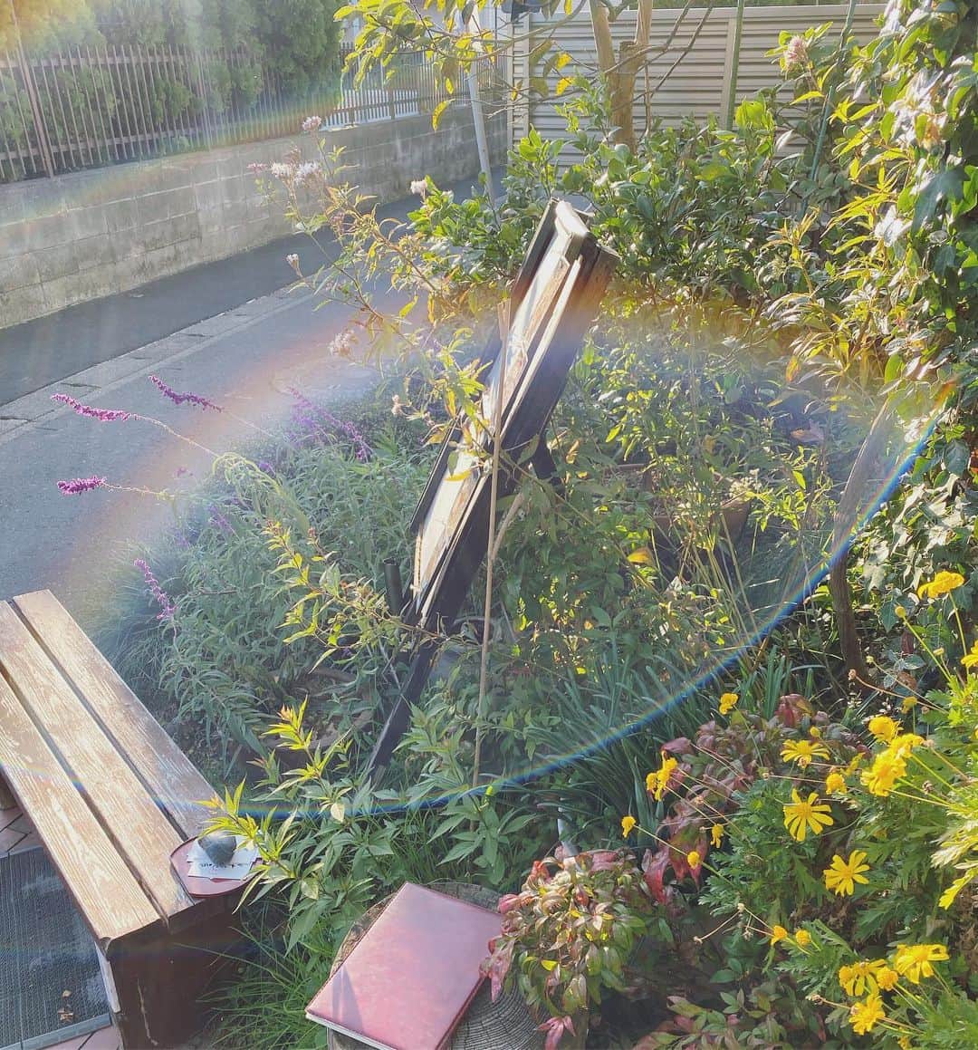 山本真由美のグルメインスタ