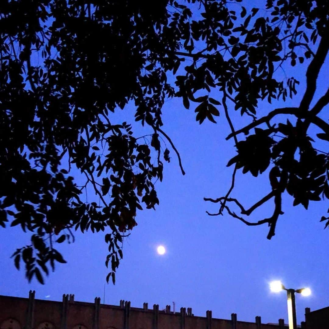 理絵さんのインスタグラム写真 - (理絵Instagram)「💜💙🌝💙💜 .  #sky #하늘 #空 #夜空 #moon #luna #夜 #tokyo #japan」11月11日 20時32分 - ____rie____