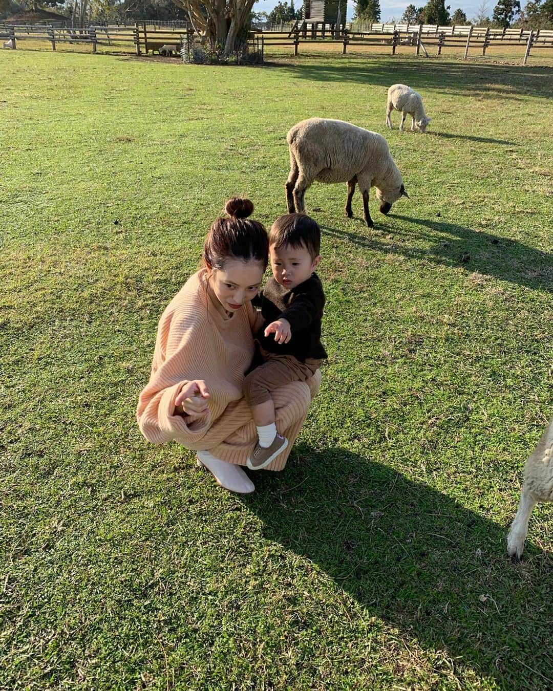 馬場一馬さんのインスタグラム写真 - (馬場一馬Instagram)「休日にマザー牧場行ってきました〜🐄🦙 自然っていいよな〜って思うようになりました🦉笑 #family #familyfirst #マザー牧場 #アルパカ#昔は渋谷が好きだった#笑」11月11日 20時50分 - babakazuma