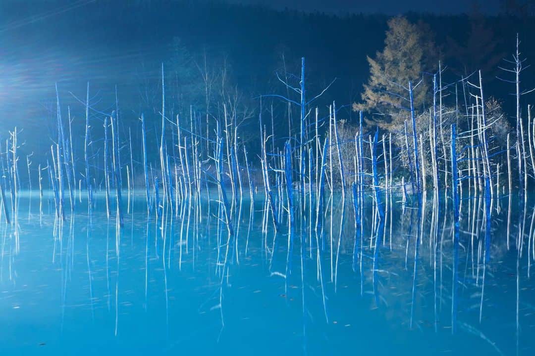 Hikaruさんのインスタグラム写真 - (HikaruInstagram)「Blue pond . . 雪が積もっている時に行きたい。 . . .  #instagram #instagramjapan #igersjp #東京カメラ部 #tokyocameraclub #natgeo #sony #bealpha #SonyAlpha #SonyImager #pashadelic #naturephotography #naturegeography #photogrena_nature #photo_shorttrip #japan #hokkaido #写真好きな人と繋がりたい #北海道 #A7RM3 #Japan_ilc #pashadelic_gpc2019」11月11日 20時49分 - hikaru__satoh