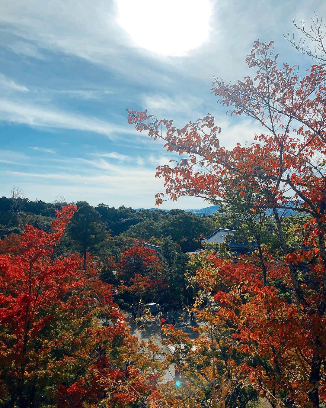西本早希のインスタグラム：「・ 京都 🍁 弾丸で観光できた 🚕」