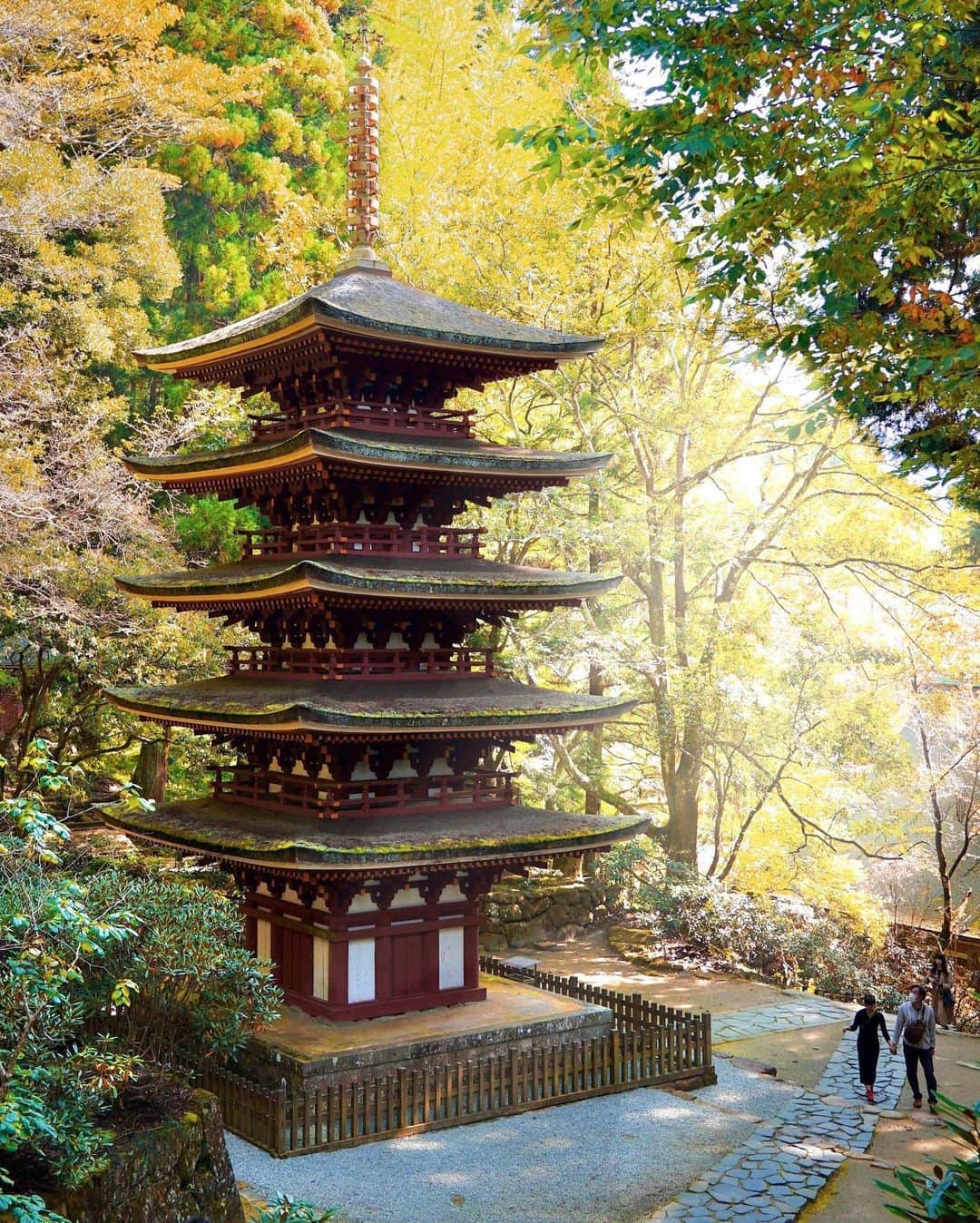 Koichiのインスタグラム：「| Pagoda . #BeautifulJapan #室生寺 #奈良 #Nara .」