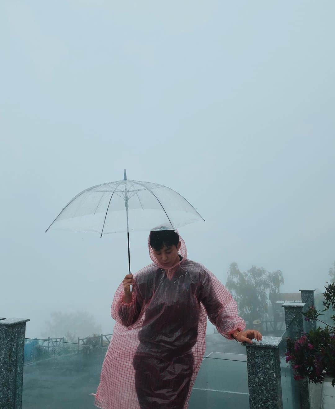 パクジホさんのインスタグラム写真 - (パクジホInstagram)「달랏은 날씨탓에 열악한 일정이었지만 그마저도 매우 아름다운 장면들이야.. #다딴라폭포루지#랑비앙산」11月11日 21時28分 - jihogram