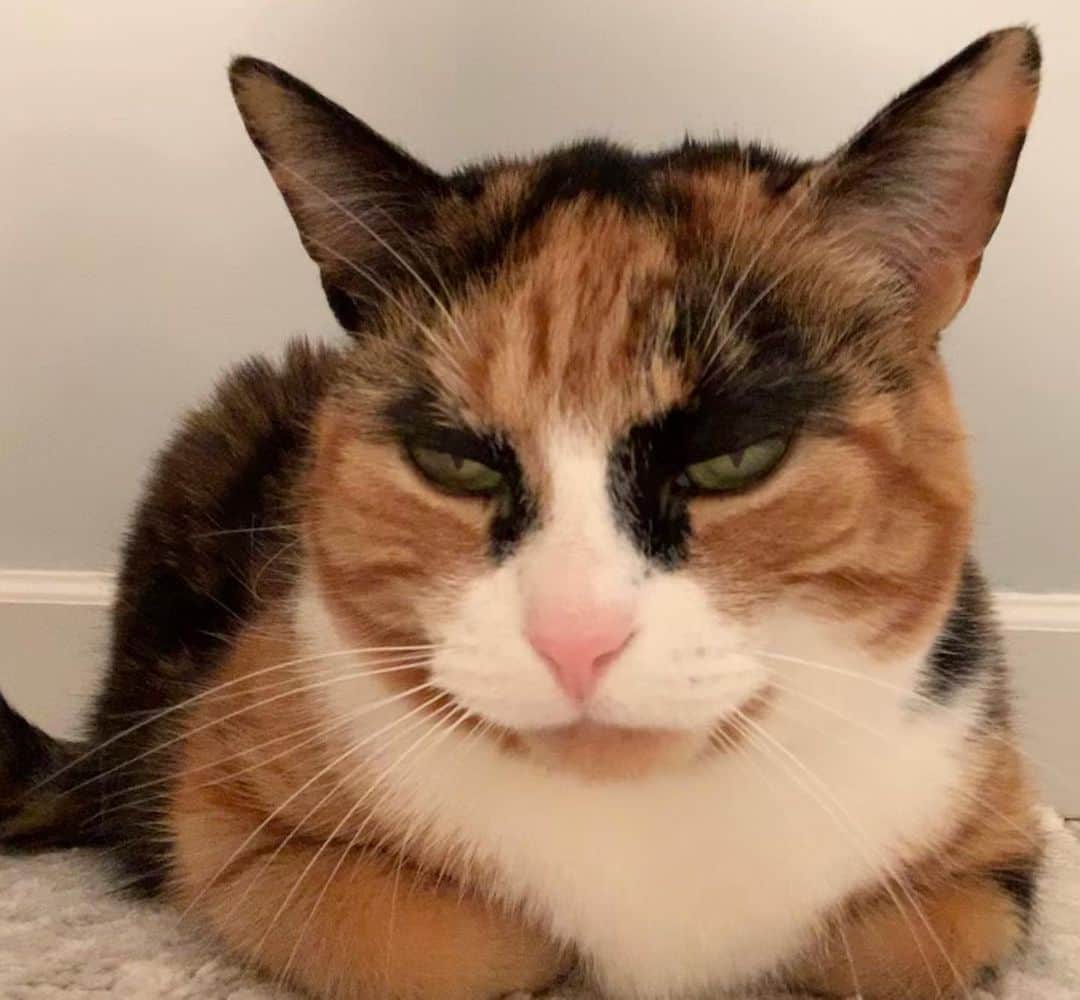 のインスタグラム：「Mornings 😒 Am I right?」