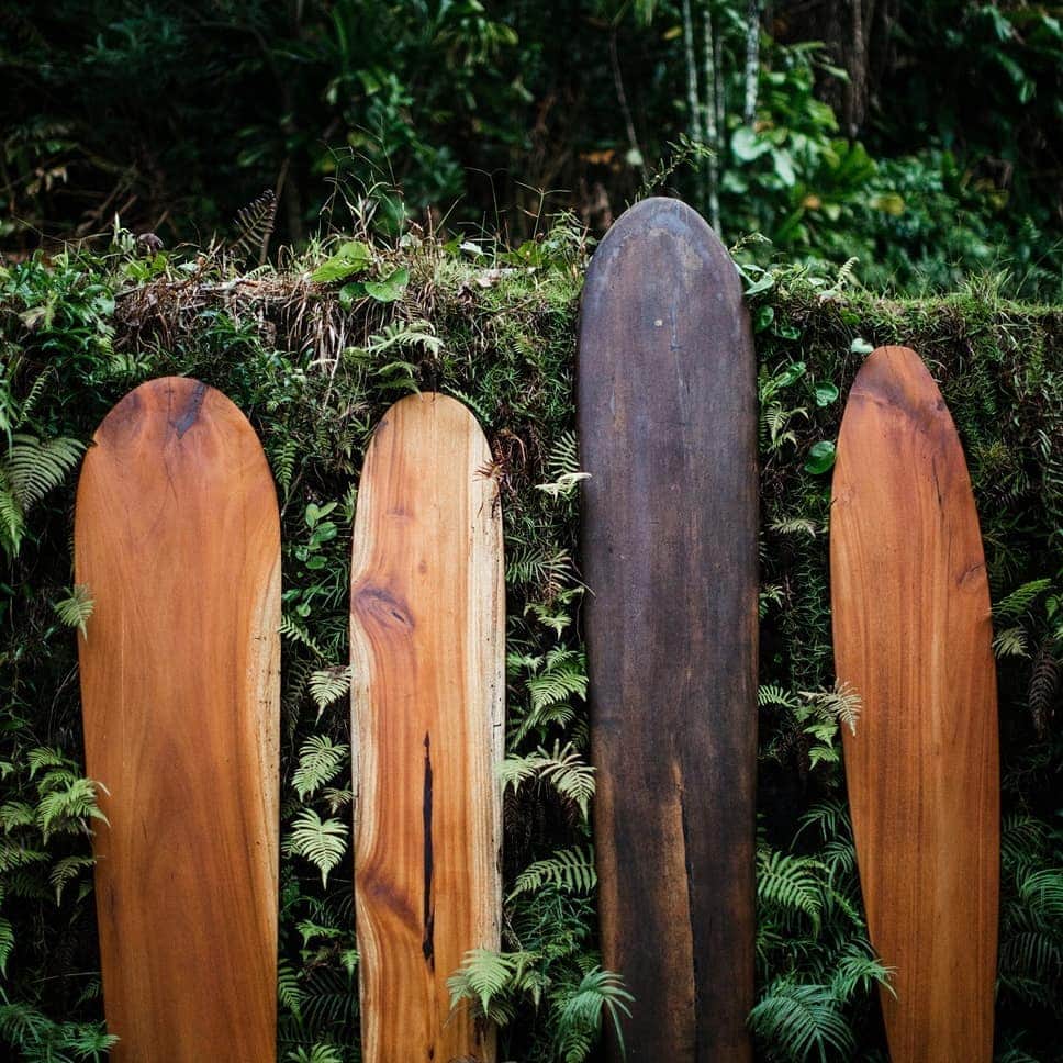 Instagenic Hawaiiさんのインスタグラム写真 - (Instagenic HawaiiInstagram)「Aloha!  今日は11月11日ですね！ サーフボード4本で1111を表してみました！  昔使われていたサーフボードは、木製だったこと、みなさま知っていましたか？  #ハワイ #hawaii #サーフィン #surf #surfing #hawaiiansurf  #ハワイでサーフィン #サーフボード #woodensurfboard #波乗り  #サーフィンライフ  #令和元年11月11日」11月11日 21時39分 - gohawaii_jp