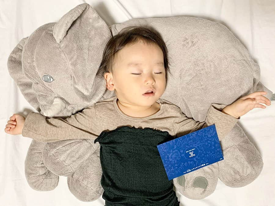 ᴋᴀɴᴀᴋöさんのインスタグラム写真 - (ᴋᴀɴᴀᴋöInstagram)「お ひ る ね 🐘👶🏻💤 * 「素肌に最高の贅沢を」がブランドコンセプトの @silkdekyoto さんの 冷えとり靴下🧦がとても良かったので…❣️シルク腹巻も 仲間入り🌈✨ * この腹巻はシルク95%で出来てるから、薄いのに しっかり温めてくれるし、通気性もいいから 1年中使える💯✨ * 普段は👩🏻が使ってるけど、もちろん子供にも使えます🌿 * 公式オフィシャルショップでLINEお友達登録と会員登録すると、その場で使える500円のクーポンがもらえるよ🌼(6000円以上のお買い物で使用可) www.silkdekyoto.com * #silkdekyoto#silkdekyoto公式オフィシャルショップ#シルク#冷えとり#冷えとり靴下#素肌に最高の贅沢を#腹巻き#腹巻#PR#1歳6ヶ月」11月11日 21時46分 - kanakokko_34_