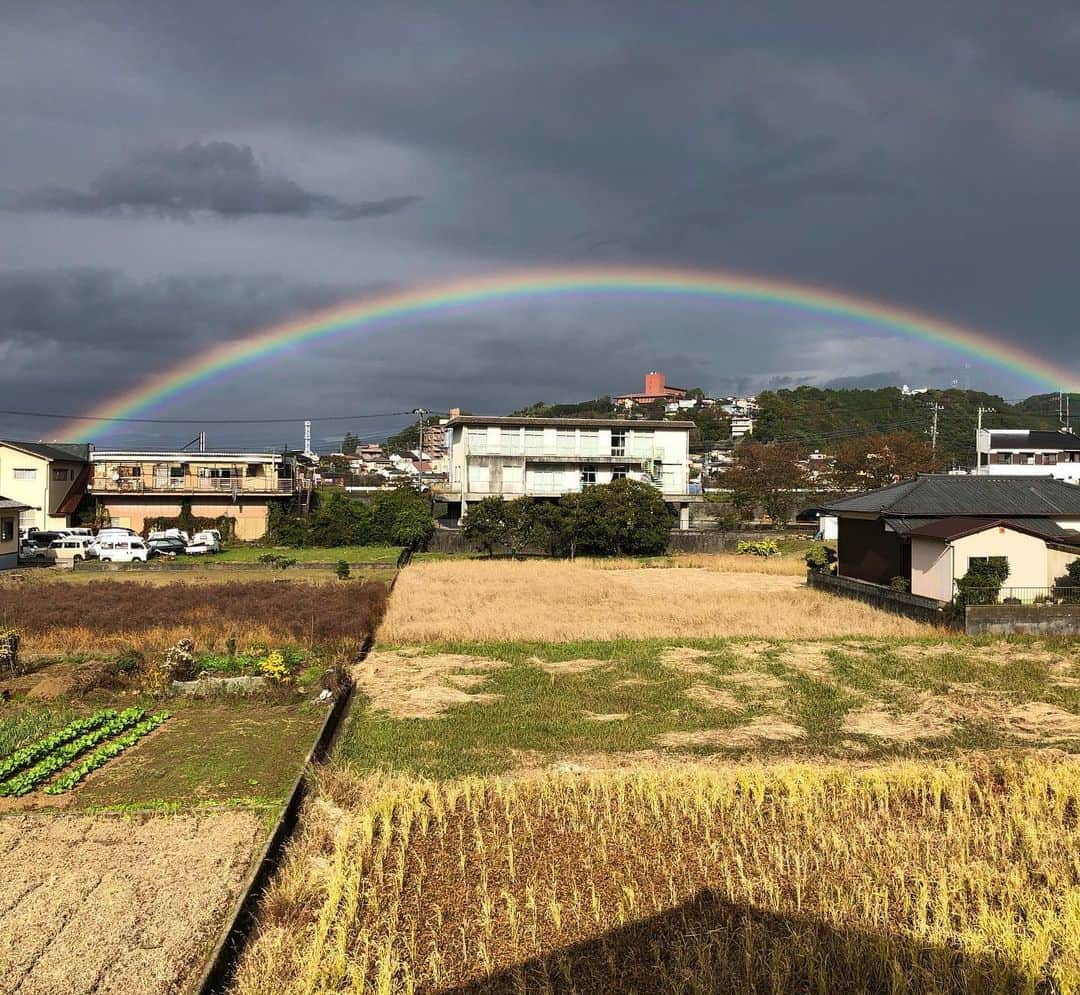 おーせさんのインスタグラム写真 - (おーせInstagram)「雨の後の贈り物」11月11日 21時50分 - oosedon