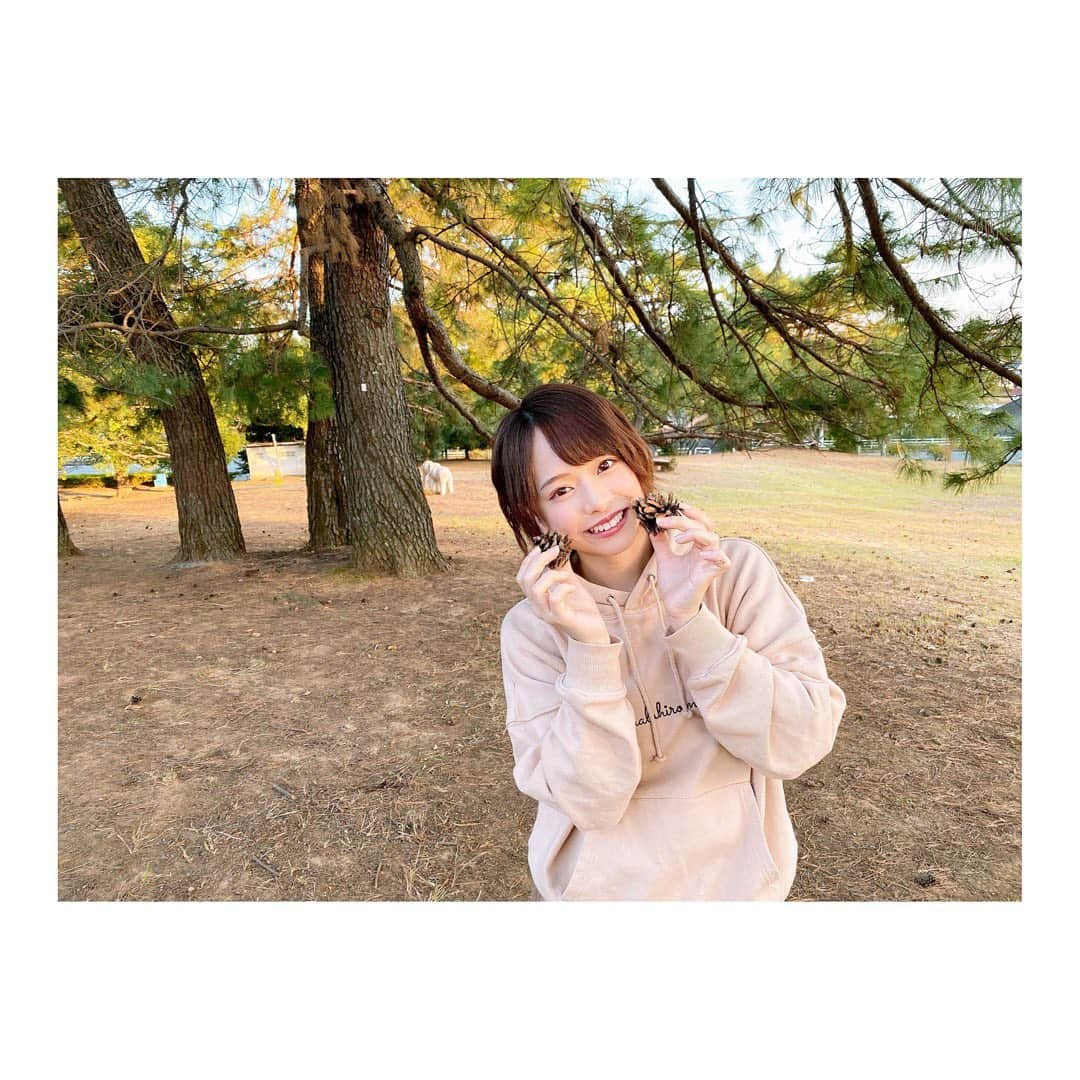 倉野尾成美さんのインスタグラム写真 - (倉野尾成美Instagram)「公園ではしゃぐぴちぴち19歳←☺️ #公園 #まつぼっくり  #紅葉」11月11日 22時18分 - noochan_1108