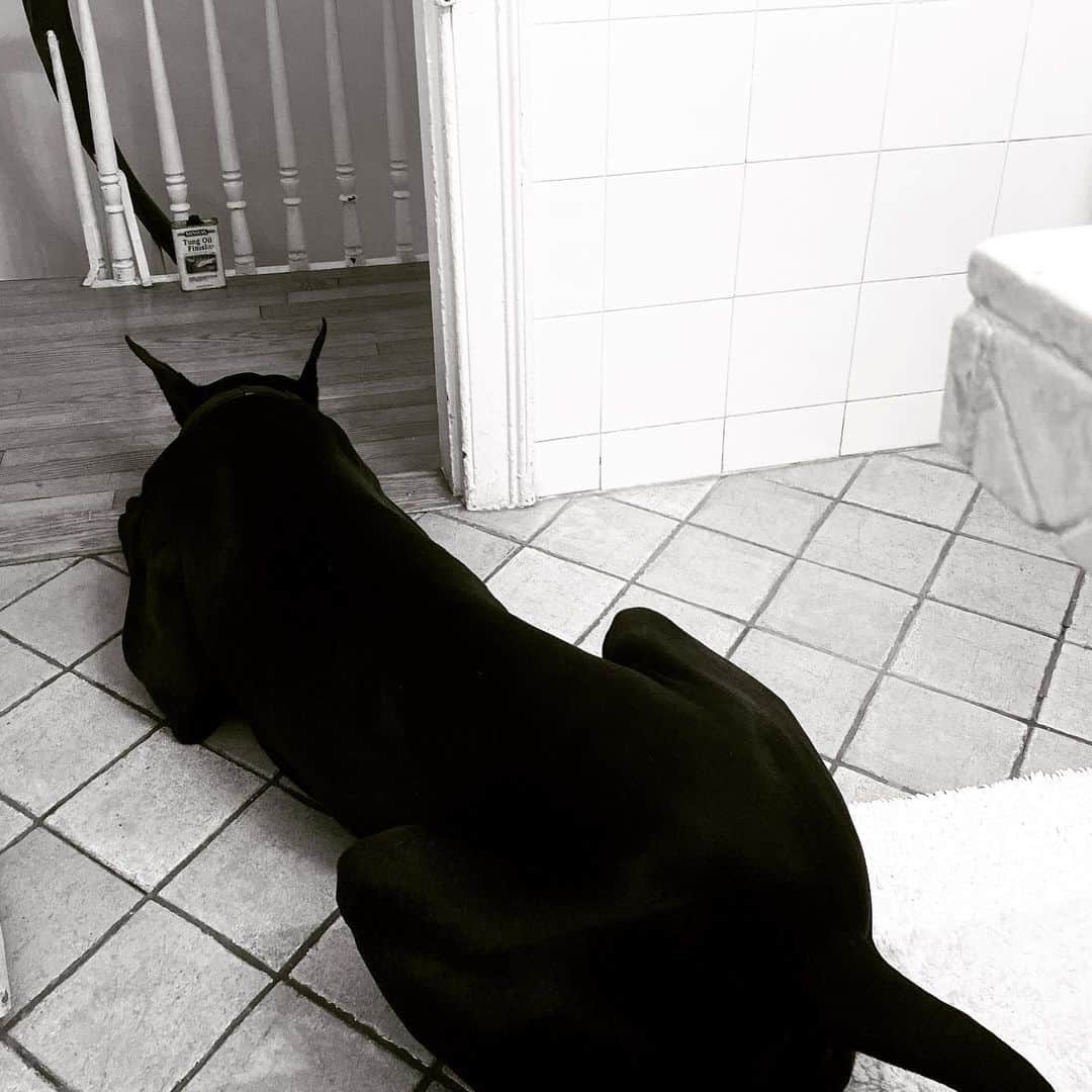 スティーヴン・クラインさんのインスタグラム写真 - (スティーヴン・クラインInstagram)「Woke up and found a Panther in my bathroom!!」11月11日 22時33分 - stevenkleinstudio