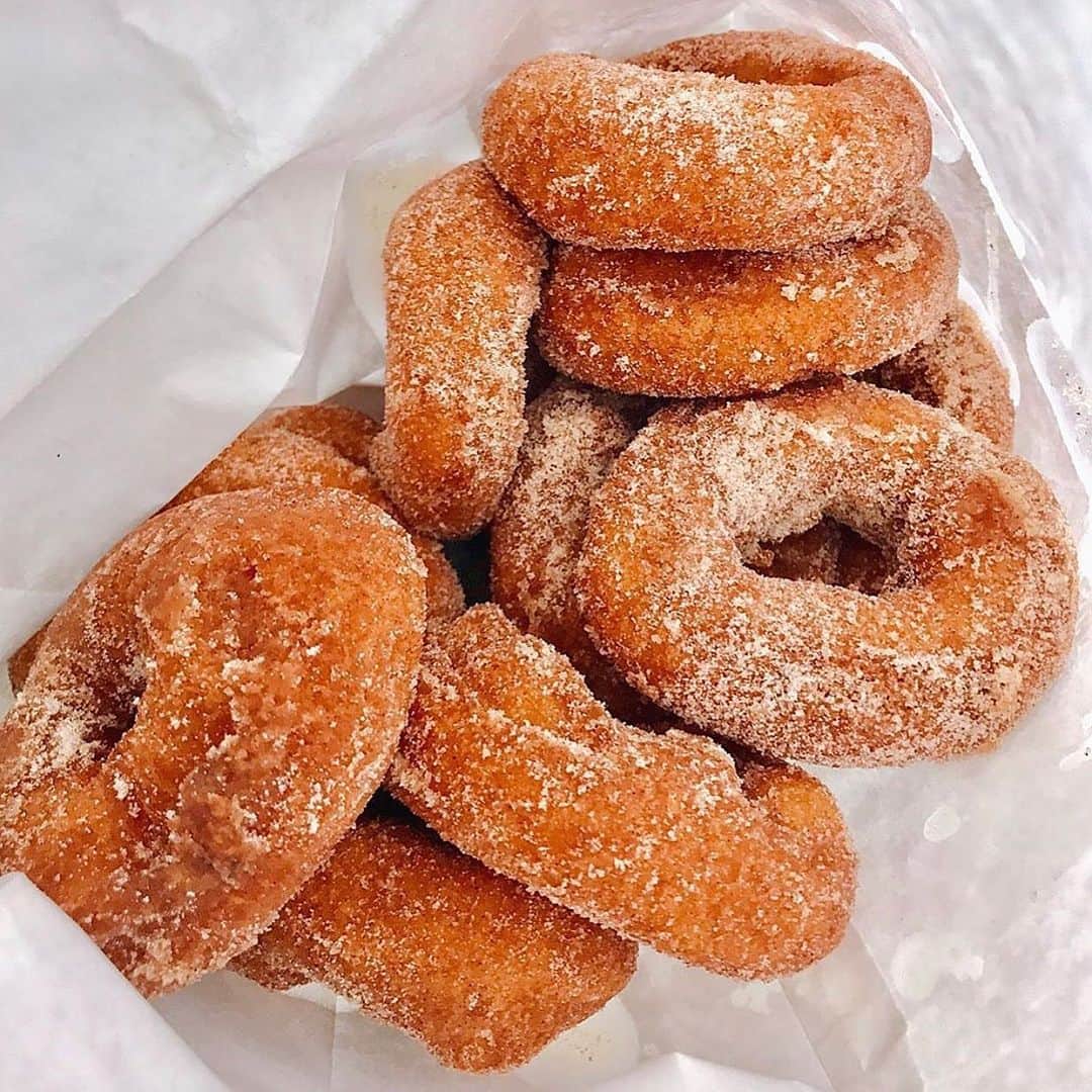Bianca Ingrossoさんのインスタグラム写真 - (Bianca IngrossoInstagram)「I wanna be a sugary donut in my next life 🍩 What’s your favorite sugary snack?? 😋」11月11日 22時33分 - biancaingrosso
