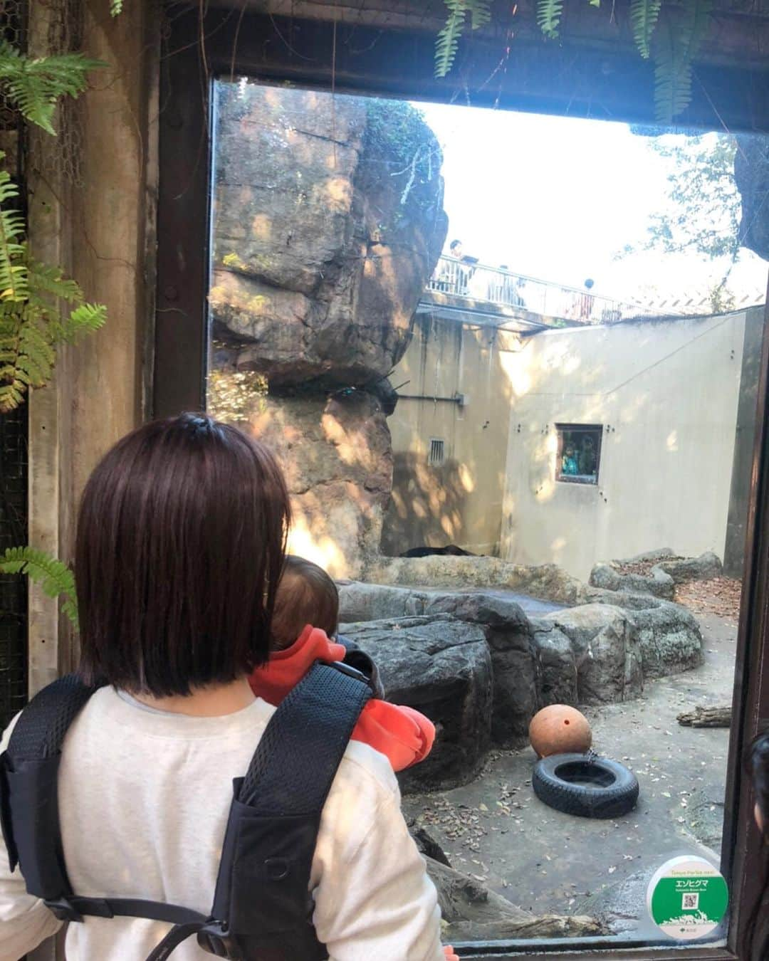 黒澤かなえさんのインスタグラム写真 - (黒澤かなえInstagram)「息子、 6か月を目前に 動物園デビューしました🐘🦒🦓 沢山菌を浴びまくってこれで強くなったかな！？ ．  うちのパパさん、入園前に何を取り出すのかと思いきや！！！お家から息子の好きな絵本持参してました📚絵本に出てくる動物のところは絵本取り出して息子に見せてあげててさすが子煩悩パパ👏🏻笑 次行ったらきっとまた違う反応してくれるんだろうなぁ👐🏻 ．  家族ぐるみのお付き合いって幸せだ〜とこの風景を見ててつくづく…！週末のパパたちの姿っていいよね。ハッシー家族楽しい時間をありがとうございました👪 ．  #上野動物園#週末#息子#生後5か月#男の子#男の子ママ#新米夫婦#家族#こぐまちゃんとどうぶつえん#絵本#シャンシャン@パンダ」11月11日 22時49分 - k_kana