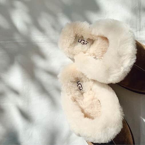 トライセクトさんのインスタグラム写真 - (トライセクトInstagram)「【Maison IÉNA】﻿ ﻿ 「UGG」new in collection!!﻿ ﻿ item1 ﻿ shoes【UGG】¥12,000+tax﻿ no.19093910000930﻿ ﻿ item2﻿ boots【UGG】¥23,000+tax﻿ no.19093910001030﻿ ﻿ ﻿ #ugg﻿ #iena﻿ #maisoniena﻿ #maisoniena自由ヶ丘」11月11日 23時17分 - baycrews