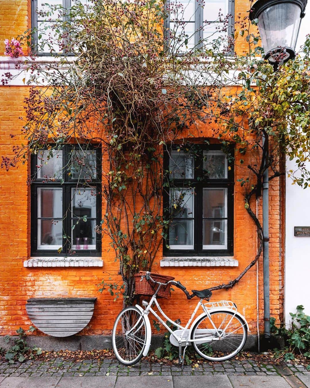 リリー＝ローズ・メロディのインスタグラム：「Obsessed with Copenhagen’s facades and colors ✨ #colorsandtextures #lilyincopenhagen」