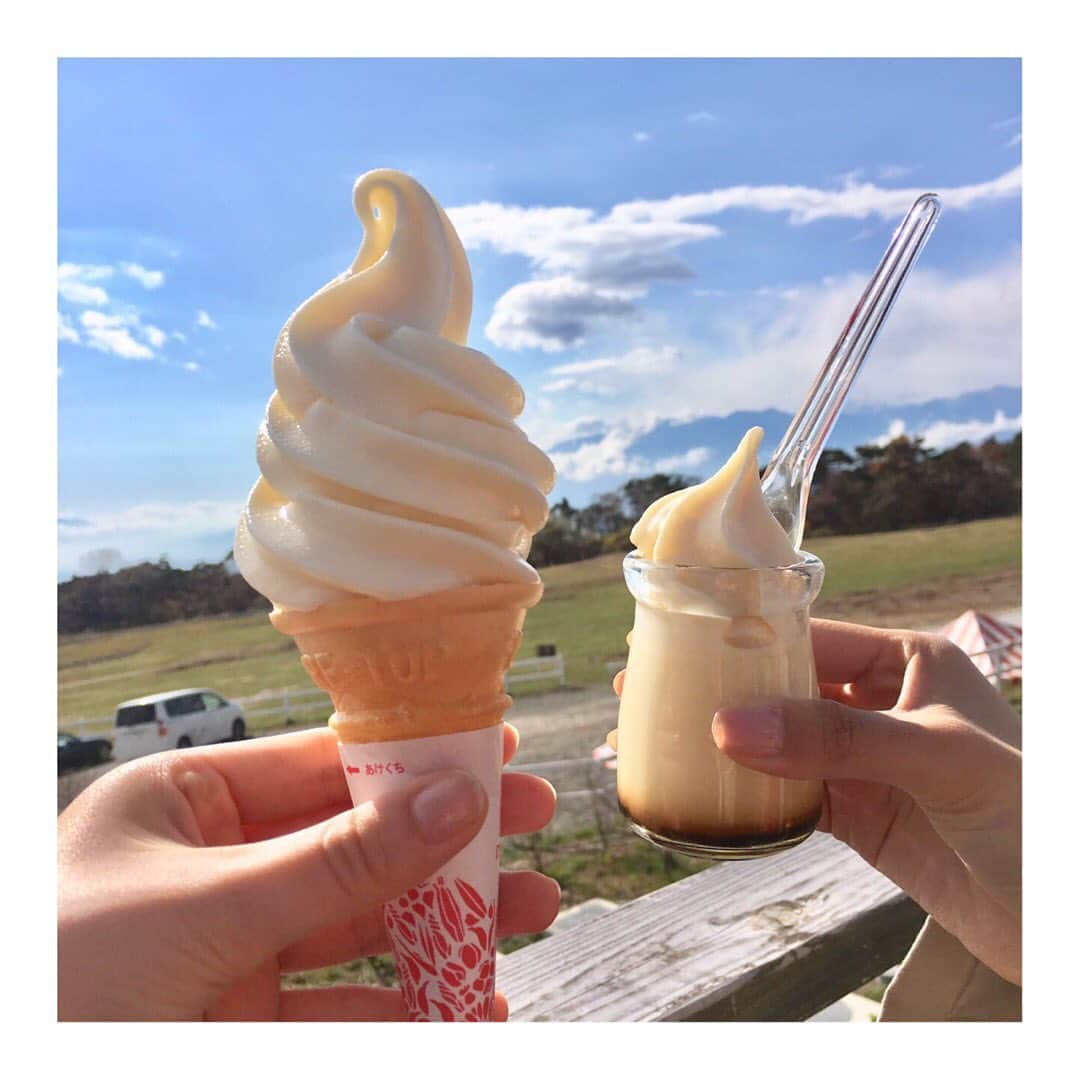 荒木美穂のインスタグラム：「* * 高原で食べるソフトクリームは 格別でした‪🍦‬ * 道中の木々も だんだん紅く染まってきて いいかんじ🍁 *  #清泉寮 #清泉寮ソフトクリーム」