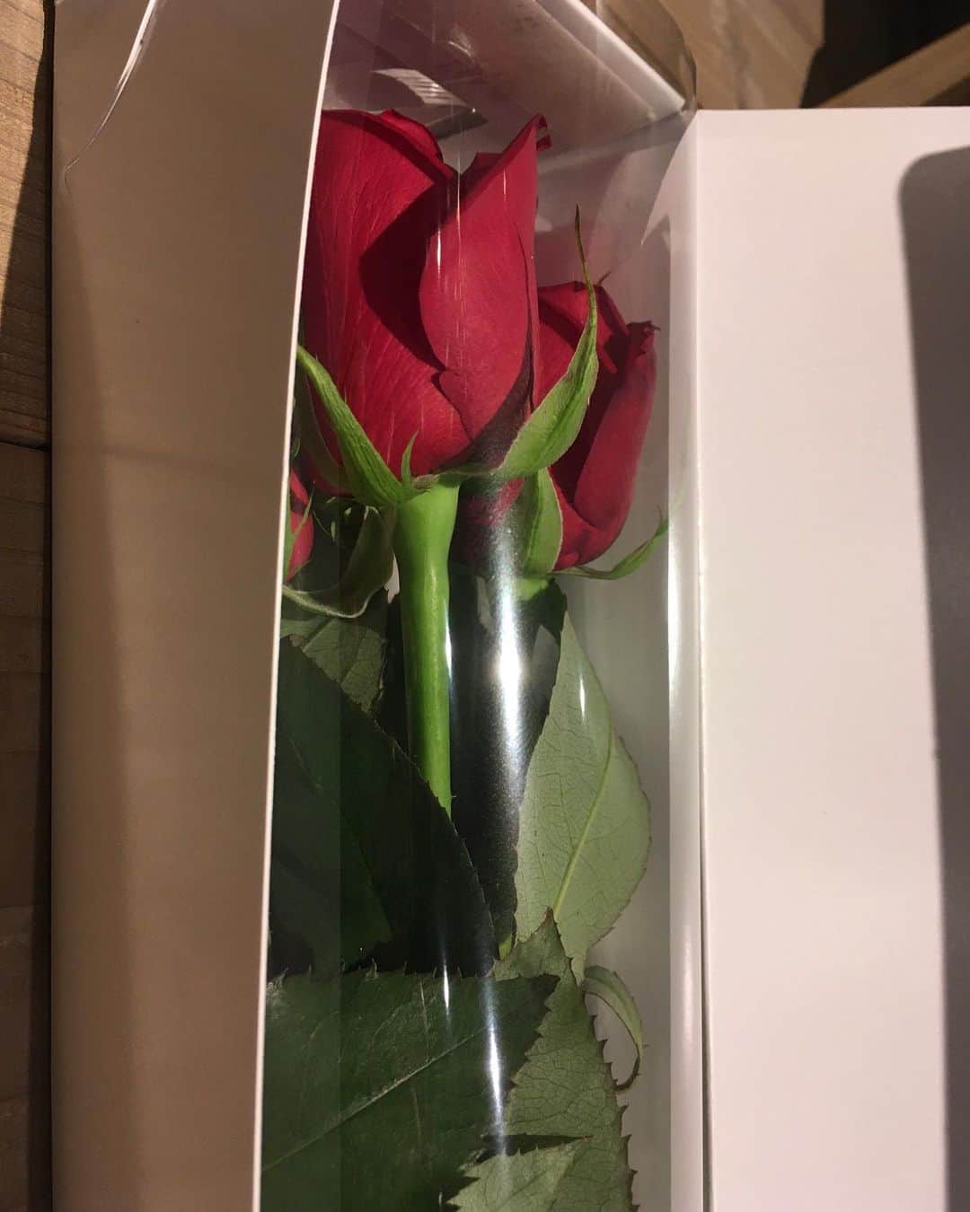 福山理子さんのインスタグラム写真 - (福山理子Instagram)「みなさんからの薔薇🌹ありがとございます。 あまりに綺麗だから ドライフラワー にしてみよう。綺麗にできるかな？ #薔薇 #rosegallery #薔薇🌹大好き」11月11日 23時58分 - rikofukuyama