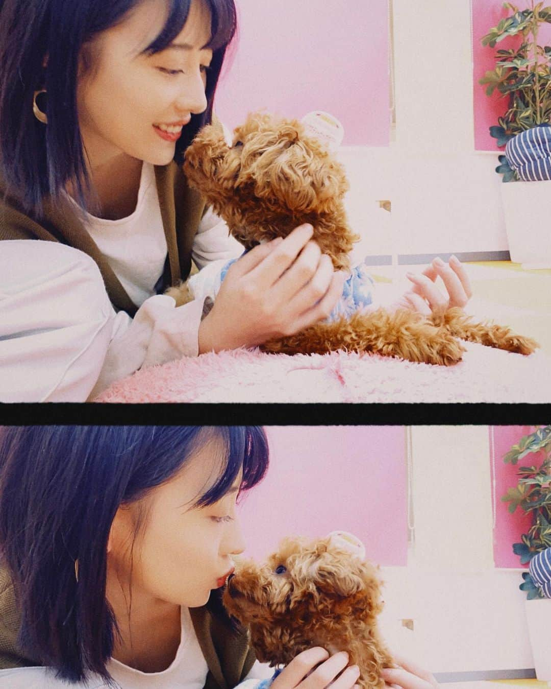 宮瀬彩加さんのインスタグラム写真 - (宮瀬彩加Instagram)「初めての犬カフェ 🐶🐾 @mctccafe  なんて可愛いの😭💓癒されました。 赤ちゃんイッヌ達と触れ合える空間はただただ最高。 (上げ直しすみません) . . #犬カフェ #秋葉原 #マイクロティーカッププードル #豆柴  #ドッグカフェ  #マイクロティーカップカフェ  #dogcafe #mctccafe#マイクロティーカップカフェ #秋葉原犬カフェ #mctccafe #プードルカフェ #pr #コラボベース」11月12日 0時07分 - ayaka_miyase