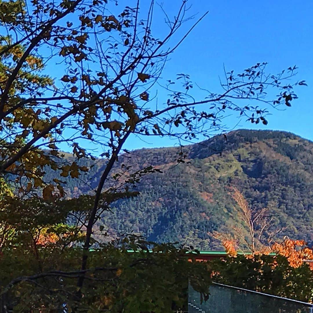 ハイアット リージェンシー 箱根 リゾート＆スパさんのインスタグラム写真 - (ハイアット リージェンシー 箱根 リゾート＆スパInstagram)「今日の箱根は秋晴れです。澄んだ空気の中、山々がくっきりと。「箱根の我が家」のリビングルームも静かな時間が流れています。⁣ ⁣ ⁣ ⁣ ⁣ #hakone #箱根 #mountains #ホテル #リゾートホテル #日本 #japan #温泉#onsen #onsen♨️ #resort # luxury #hyattregencyhakone　#ハイアットリージェンシー箱根 #hyatt #ハイアット #hyattregency #worldofhyatt #暖炉 #fireplace　#暖炉開き #秋晴れ #我が家」11月12日 10時57分 - hyattregencyhakone