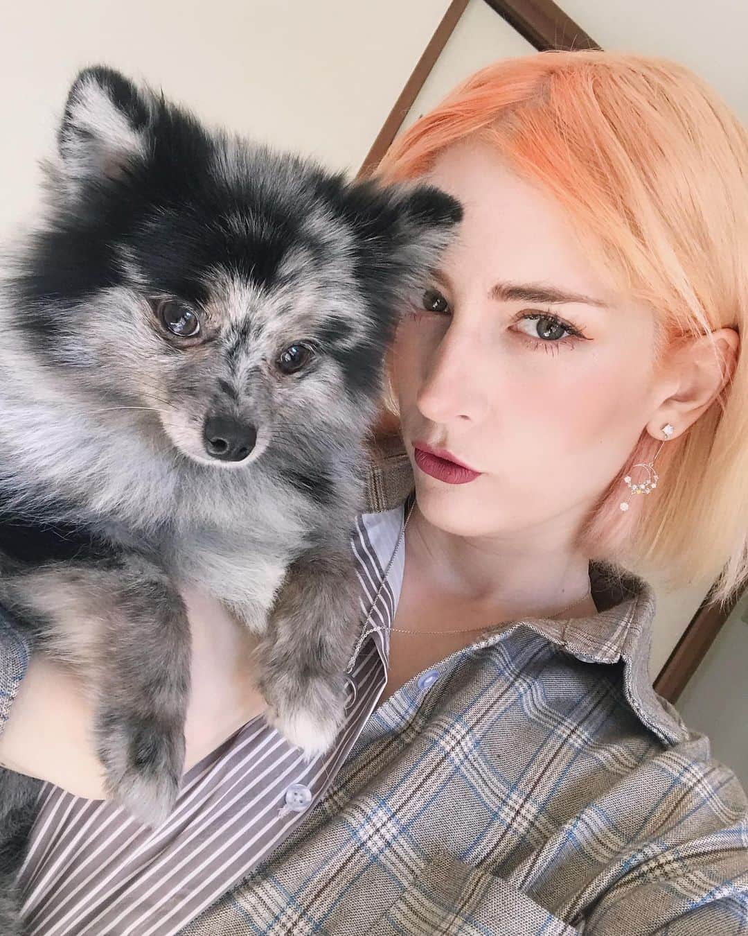 mimeiのインスタグラム：「sunset hair! kinda! #orangehair #sunsethair #ilovemydog #🥺」