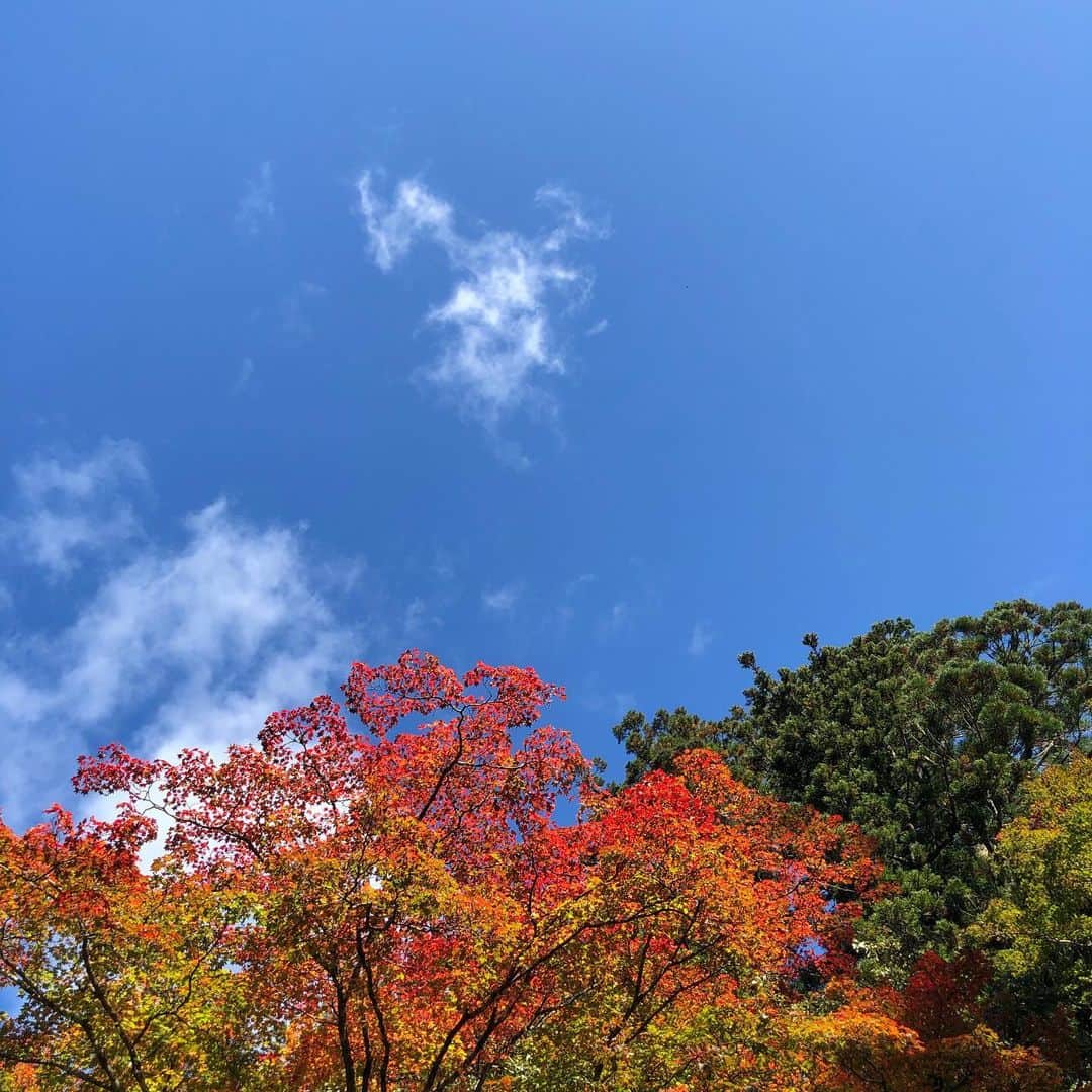 山田弥希寿のインスタグラム