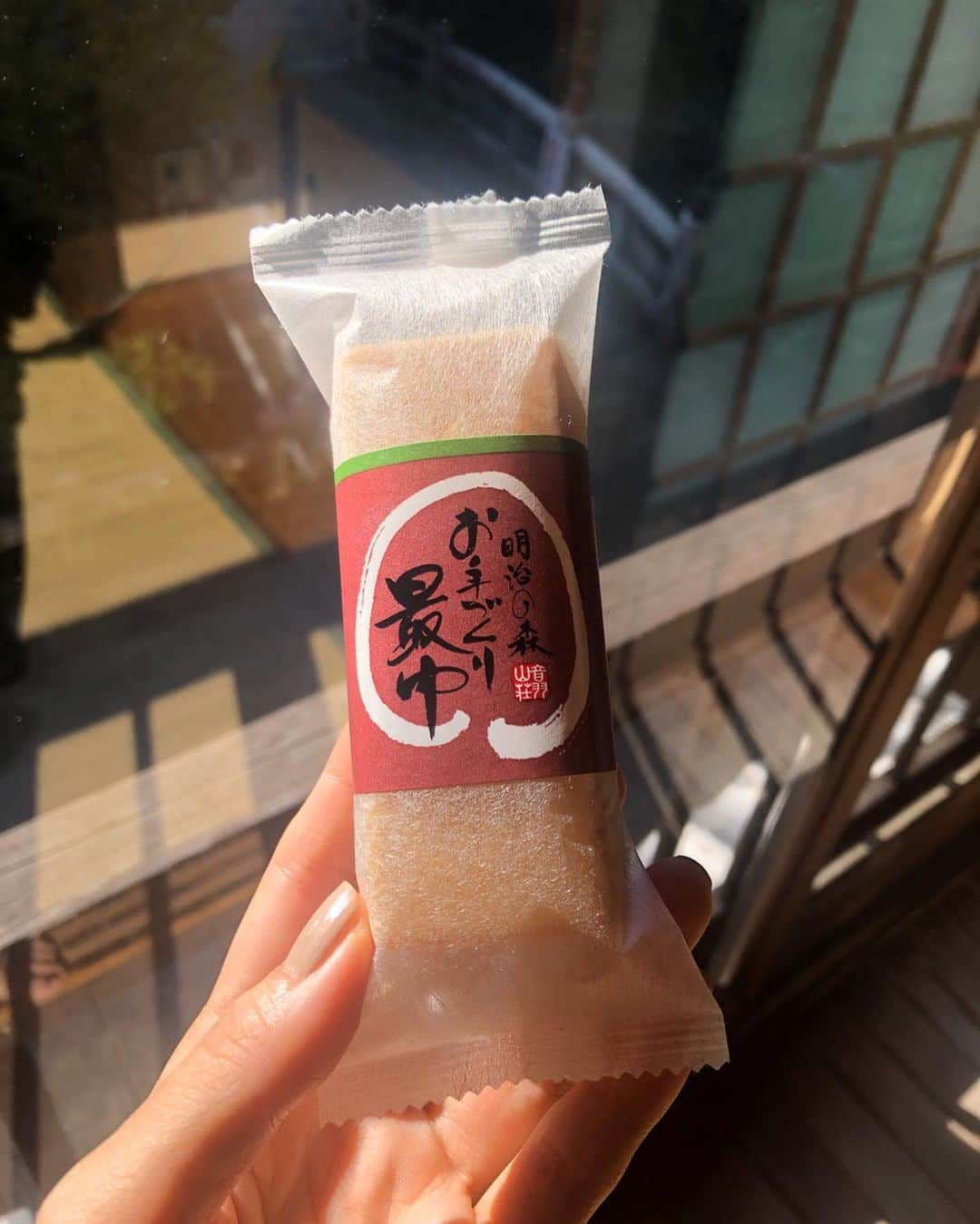 松永ちさとさんのインスタグラム写真 - (松永ちさとInstagram)「素敵な髪型とvintageのお着物👘 お母様役のりえぃさんの優しさと美しさ 可愛がってもらって沁みました🥺🌿 11/末には見渡す景色が紅葉するそう そのタイミングでこれたら幸せだな 天然温泉も入れる癒しの館🧖‍♀️❤︎❤︎ #ウェルカム手作り最中も美味 #温泉#炭酸カルシウム温泉 #wedding#weddinghair #髪型#和装#旅婚#少人数宿 #chisatravel#大阪#音羽山荘 #chisawedding#松永ちさと」11月12日 12時13分 - chisato_matsunaga
