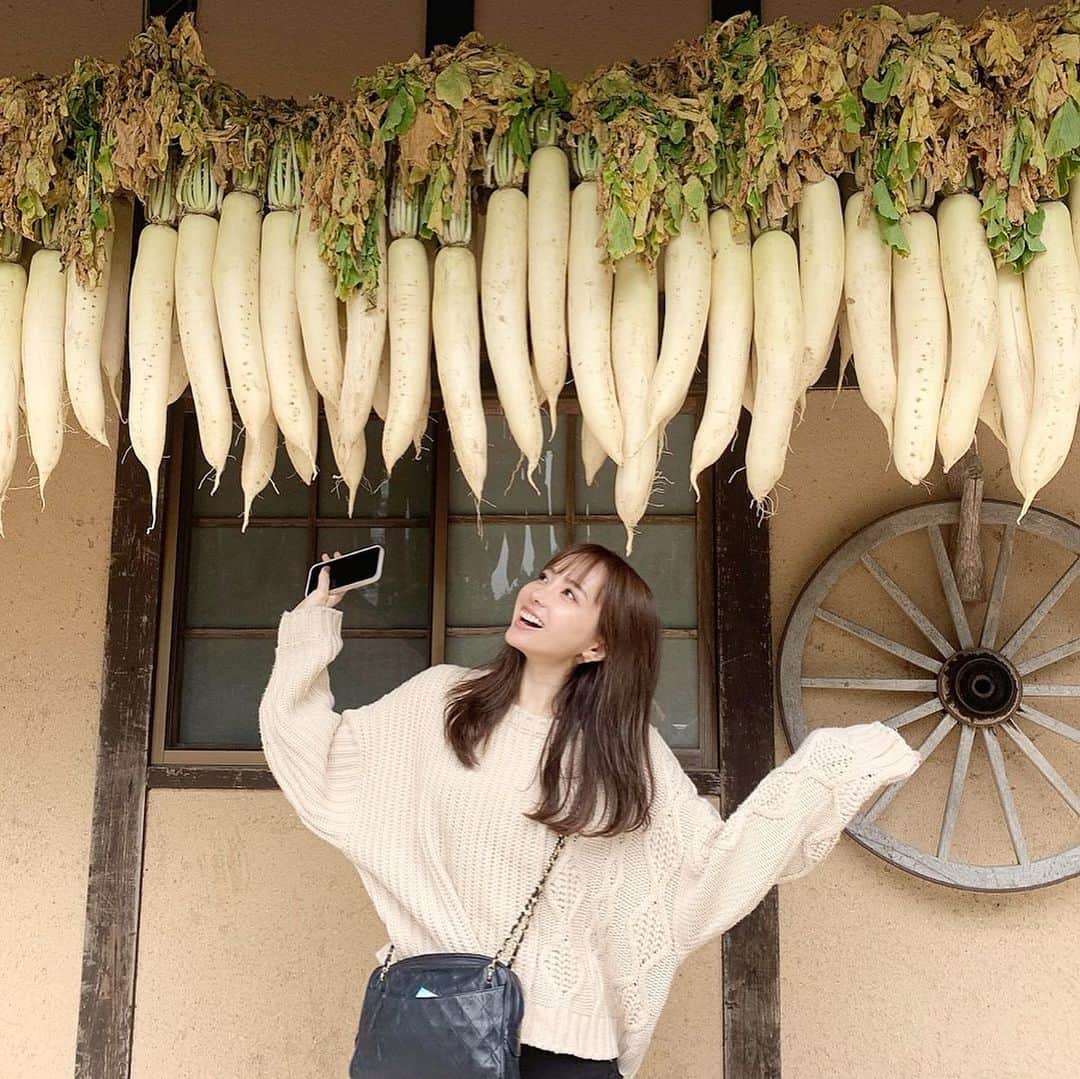 Aoiのグルメインスタ