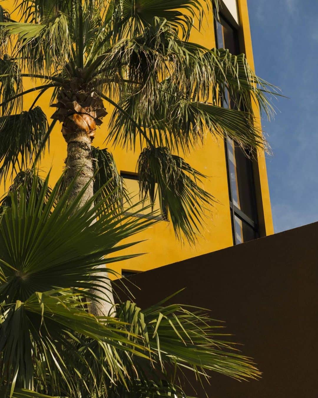 のインスタグラム：「* 本日は館内メンテナンスのため休館日とさせていただきます 明日はランチタイムより営業いたします * #luigans #theluigans #palmtrees #yellow #マリンワールド #海の中道海浜公園」