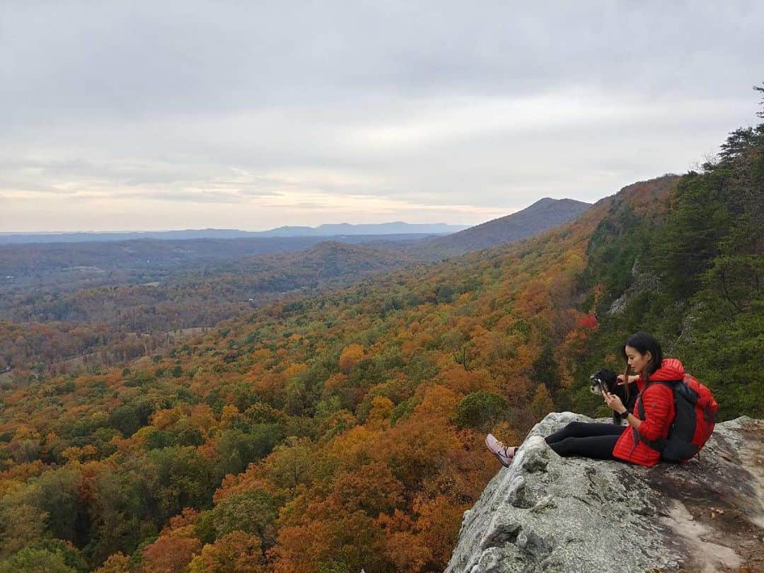 ジェイミー・チャンさんのインスタグラム写真 - (ジェイミー・チャンInstagram)「Happy Veterans Day. Thank you to all the brave veterans. Thanks to you, we get to enjoy views like this. P.S Be prepared for an overload of leaf watching content. Thank you @lifescapesphotography @vsoutdoorsnaps And to all pet owners: always keep your dog on a leash! Especially on new hikes. I was so paranoid I also held onto his collar. Ewok was so curious to see the view. They are cautious but it is your duty to make sure they are safe! #liveyouradventure #ebcontributor」11月12日 8時52分 - jamiejchung