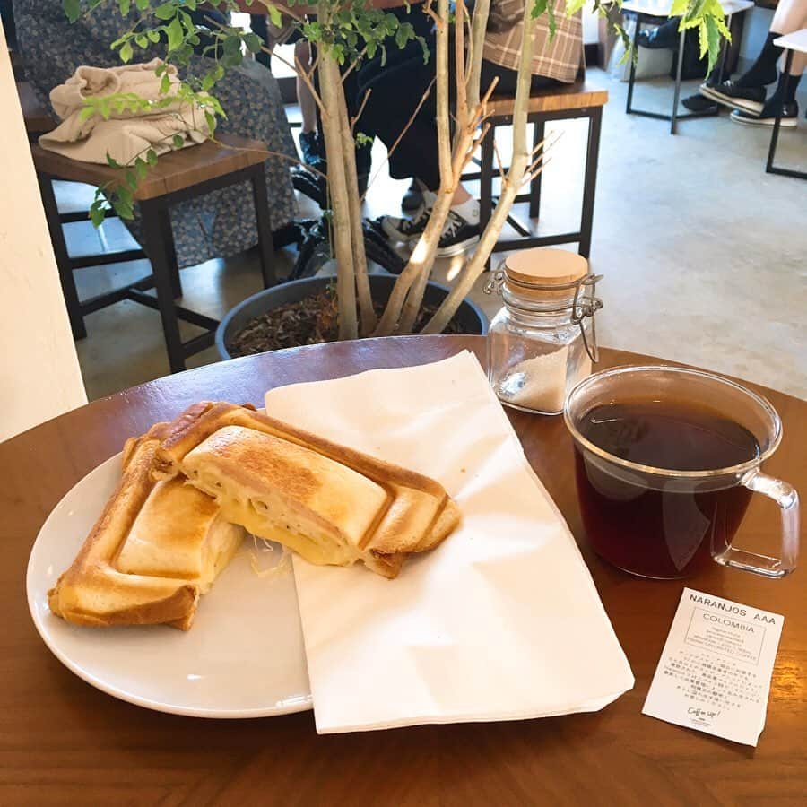内田絢子さんのインスタグラム写真 - (内田絢子Instagram)「モーニング・コレクション！今週のモニコレは神戸にあるCoffee up!KOBEのマカロニグラタンのジャッキー（ホットサンド）とハンドドリップコーヒー。  世界のカフェの聖地・メルボルンで出会ったというバリスタのお二人が、昨年オープンされたカフェ。柔らかい朝の光が降り注ぐ、センス良く緑が飾られた空間。  コーヒーはスペシャリティコーヒーにこだわり、飲み心地、香りを堪能できる、薄いガラスカップで提供されます。私がいただいたのはコロンビア産のナランホの浅煎りコーヒー。朝陽でべっ甲色に輝き、オレンジのような柑橘の香りが広がり、余韻は黒糖のような甘さ。  フードはブレッキー（メルボルンではブレックファーストをこう略すらしい）はマカロニグラタンのホットサンド。耳までサクッと焼き上げ、中にはぷるっとした太めのマカロ二、手作りのベシャメルソース、チーズ、ベーコン、冬の幸せが詰まってます♡  #coffeeupkobe #ブレッキー #メルボルンモーニング #神戸モーニング #fm802 #brightmorning #モーニングコレクション #モニコレ #金曜朝7時半からコーナーお届けしてます」11月12日 9時07分 - uccijun