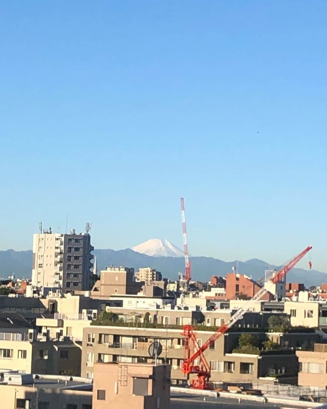 市川海老蔵 （11代目）さんのインスタグラム写真 - (市川海老蔵 （11代目）Instagram)「* Pure white Beautiful  真っ白 美しい  #市川海老蔵 #海老蔵 #成田屋 #歌舞伎  #ABKAI #ABMORI #ebizoichikawa #ebizo #kabuki #thunderparty #classic」11月12日 9時17分 - ebizoichikawa.ebizoichikawa