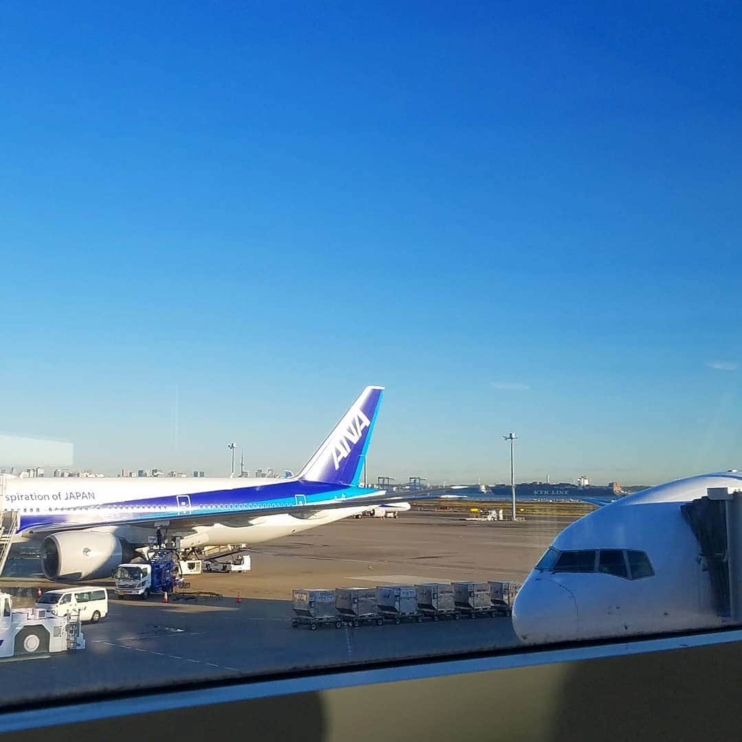 黒田啓蔵さんのインスタグラム写真 - (黒田啓蔵Instagram)「おはようございます✨ 今日は、福岡で仕事です。 只今、搭乗中。 東京は、朝から快晴気持ちいいです。 さぁ、今日もいい１日になりますように☺️ #これから #福岡へ #日帰り#東京の朝は#快晴☀️ #ANA」11月12日 9時39分 - kurodakeizo