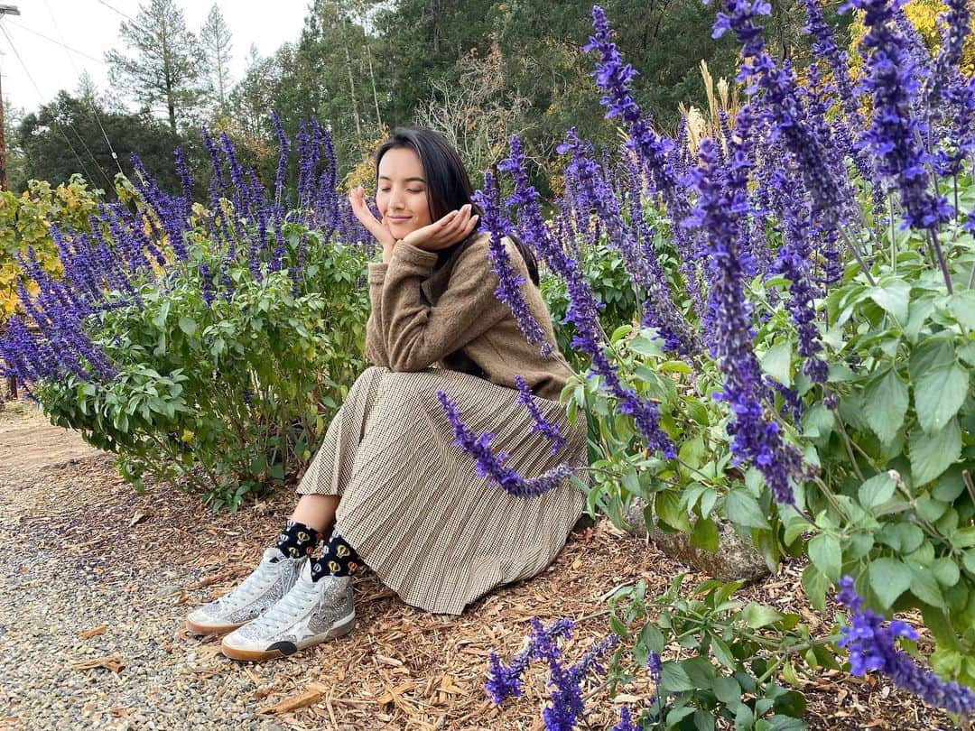 ルピン・ワンのインスタグラム：「Balloon day 🎈 ! Balloons on my socks .🥰」
