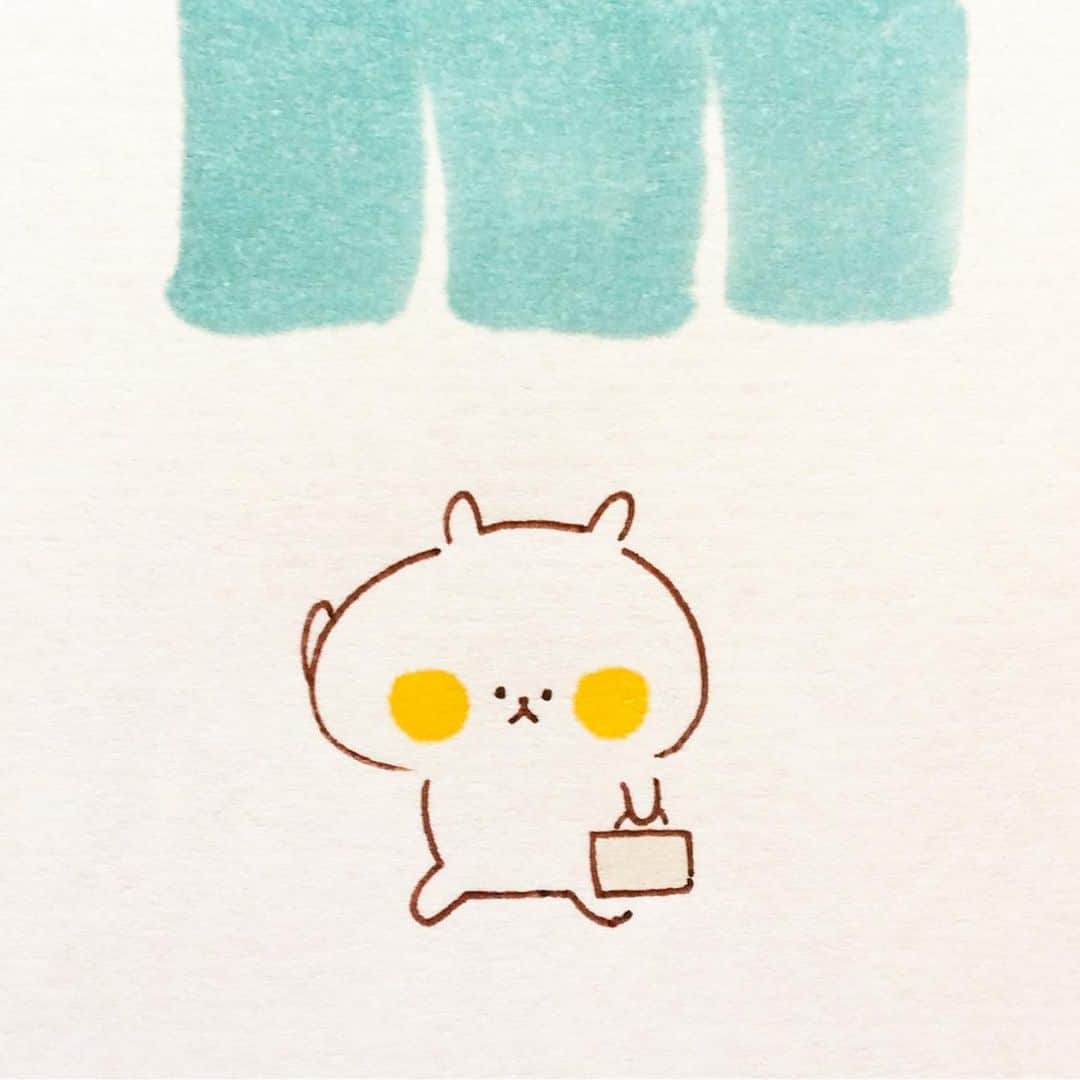 カモのインスタグラム
