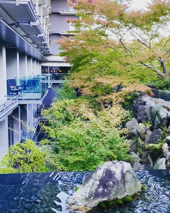 林村ゆかりのインスタグラム：「京都へ高校のお友達に会ってきた❤︎ 観光はしなかったけど、美味しいもの食べて飲んで笑って幸せ✨ 今週もダイエット頑張ります🐷w 周りに京都好きが多い気がするけど、気持ちがわかった気がする。浸りすぎて写真撮るの忘れちゃったよね🍁  #旅行#trip#travel#kyoto#京都#お友達#friend」