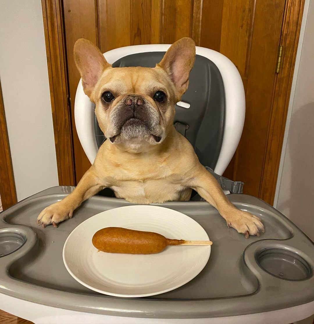 Hamlinのインスタグラム：「This one better be for realz. That last “corn dog” you fed me was a cattail covered in mustard. .......... #corndog #dinner」