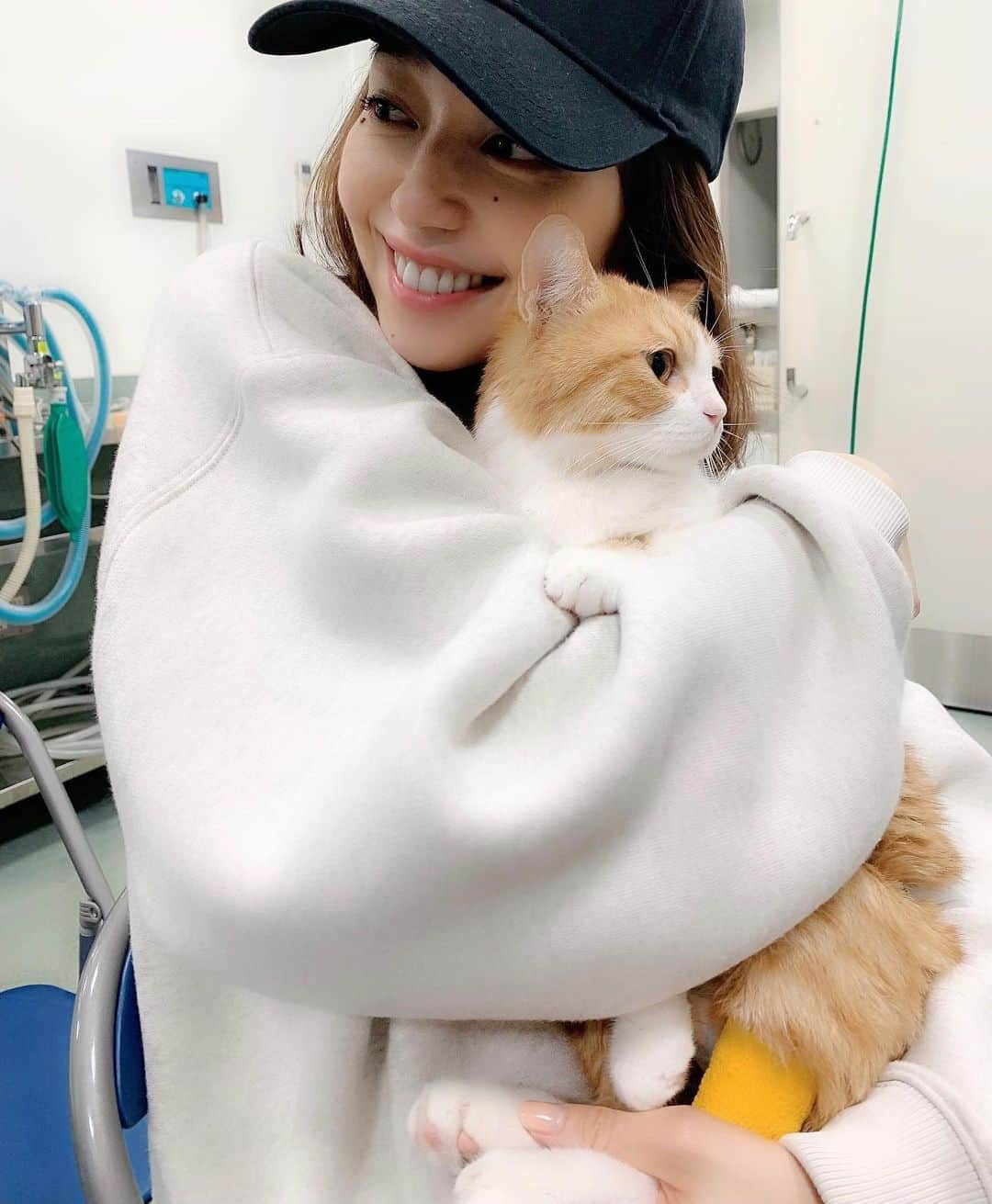 松島花さんのインスタグラム写真 - (松島花Instagram)「: 朝日新聞のペットサイト〝sippo〟での 連載「猫のいる幸せ」の第13回目が 本日アップされました🐈🐾 (＊朝日デジタル sippo 松島花 で 検索してください👆🏻) . 前回'ごろりん'の入院の報告をさせて 頂きましたが…本日のsippo では、 その後の報告をさせて頂きます。 . フォロワーの皆さんから 「ごろりんは、どうしていますか？」と コメントやDMを沢山頂きました😿 元気玉🔴も沢山頂きました🤲🏻 こんなに沢山の方に心配、応援して もらっている〝ごろりん〟🐈🐾 本当にしあわせです💕 皆さん、ありがとうございます🙏🏻✨ . 今回も、10月8日から現在までの様子を 書きました。 読んで頂けたら嬉しいです。 よろしくお願いします。 . #花アニマル #ごろりん入院 #高度医療センター #sippo #朝日新聞 #朝日デジタル  #連載 #猫のいる幸せ #ペットサイト #ごろりん #ゴメズ #フェスター  #保護猫 #元保護猫 #元野良猫  #負傷猫 #花にゃんず  #東京都動物愛護相談センター出身  #命の期限 #殺処分ゼロ #殺処分反対 #指1本でできるボランティア #ペットショップへ行く前に #里親になる選択を」11月12日 21時21分 - hana_matsushima_official